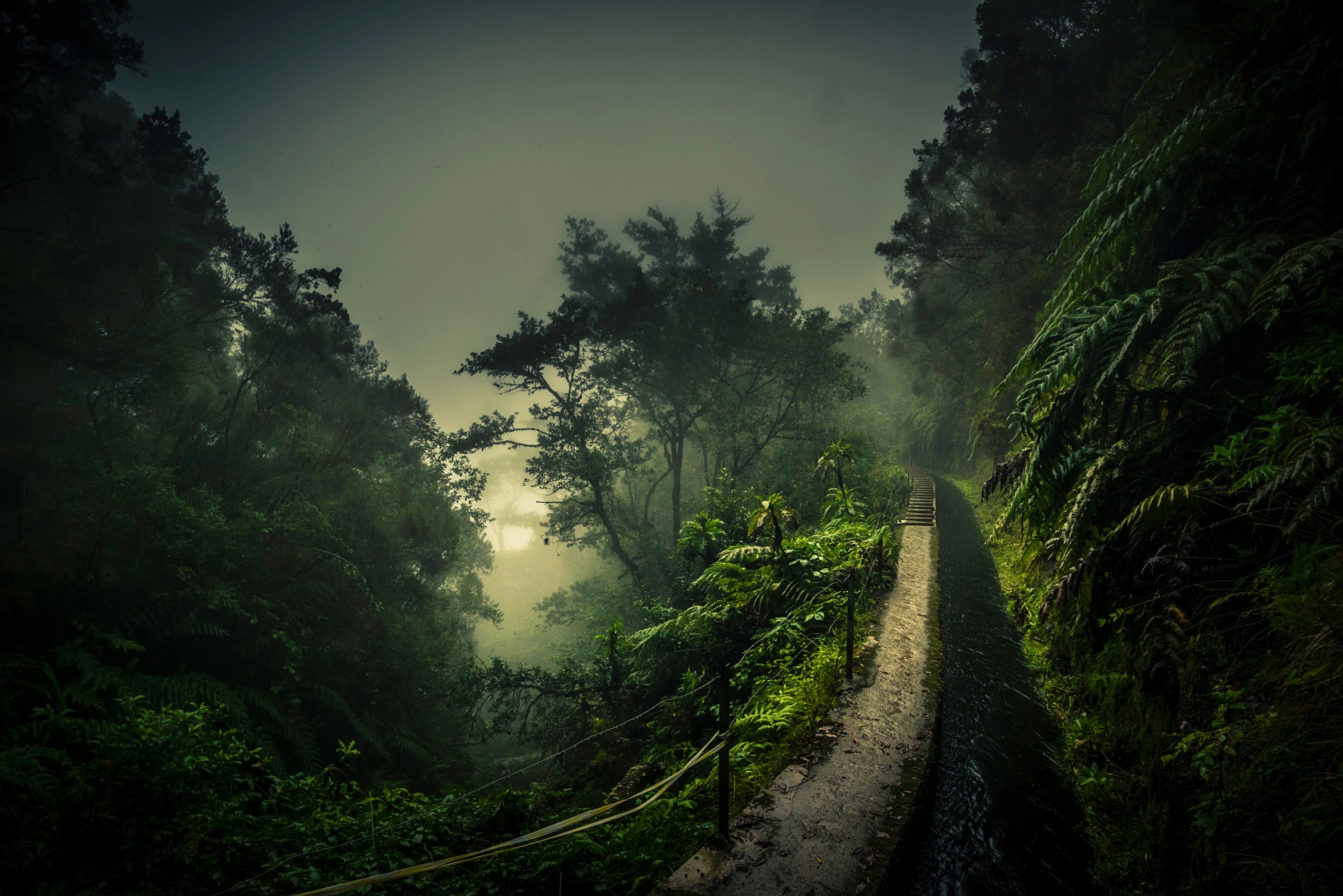 Image of Papermoon Fototapete "Photo-Art ROLAND WEBER, LEVADA WALK"