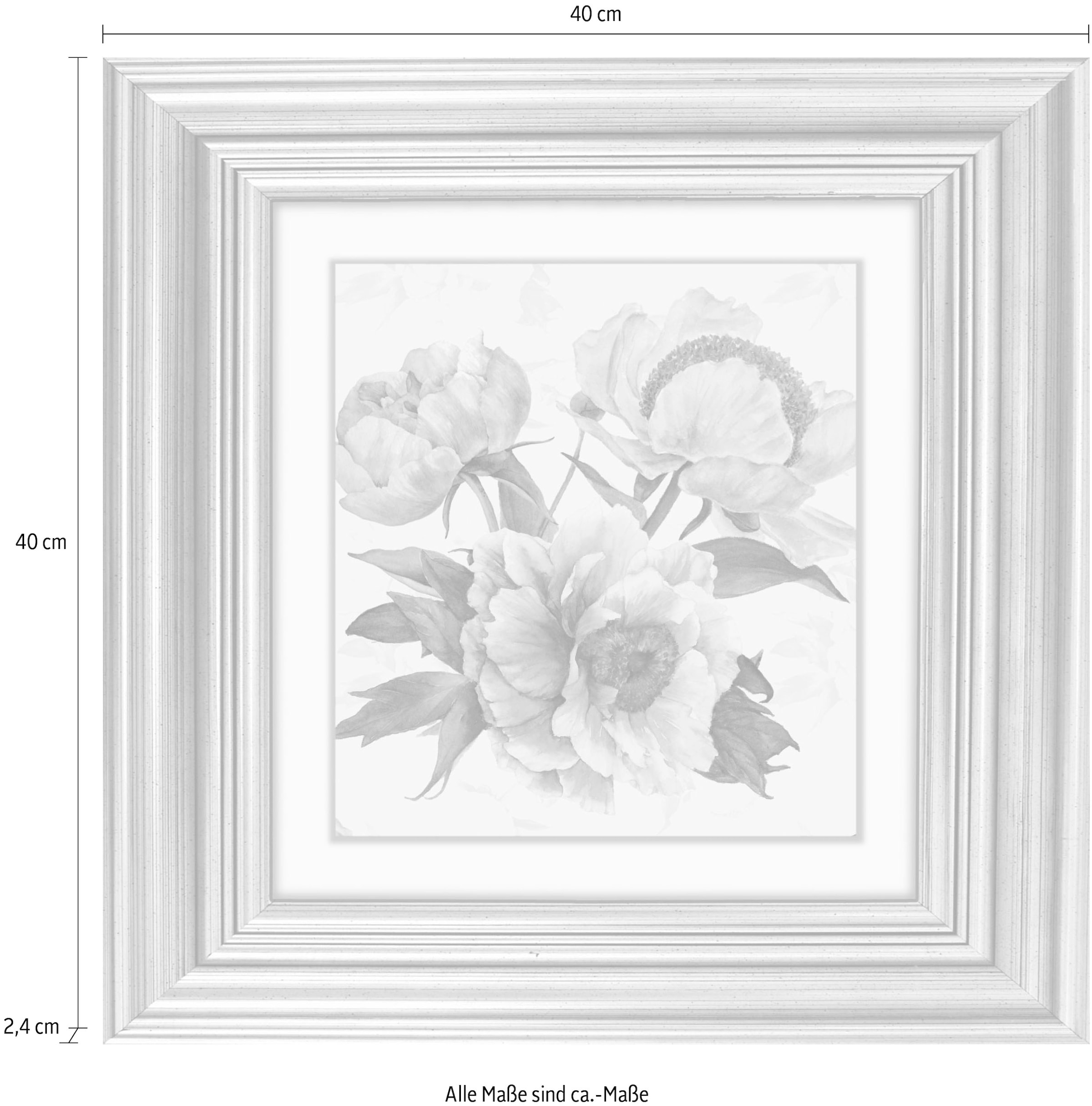 queence Acrylglasbild »Blumen«, Blumen-Blumenbilder-Kunst-Pflanzen-Pflanzenbilder-Gemälde, Fine Art-Print in Galeriequalität
