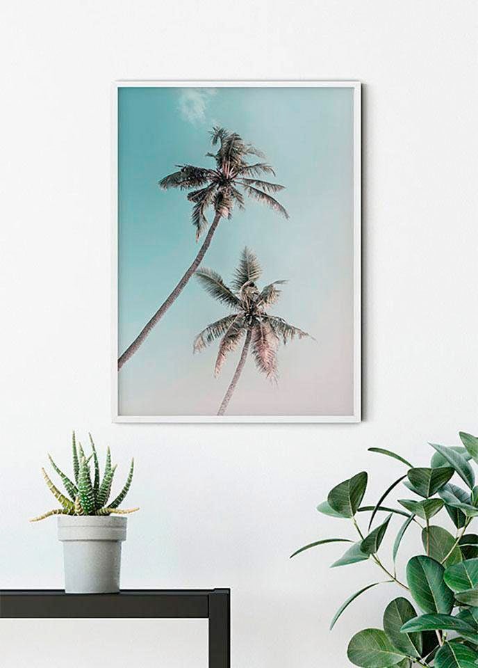 Komar Bild »Miami Palms« Blätter | Pflanzen 1 Stk. tlg. Wandbild zur Dekoration - ohne Rahmen