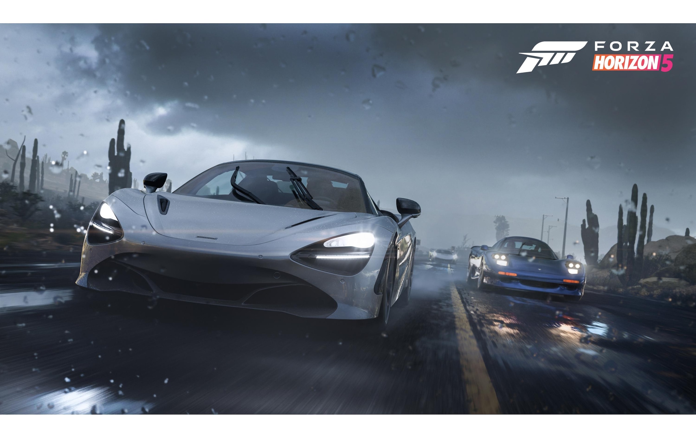 Microsoft Spielekonsole »Xbox Series X 1TB Horizon 5 Premium Ed.«