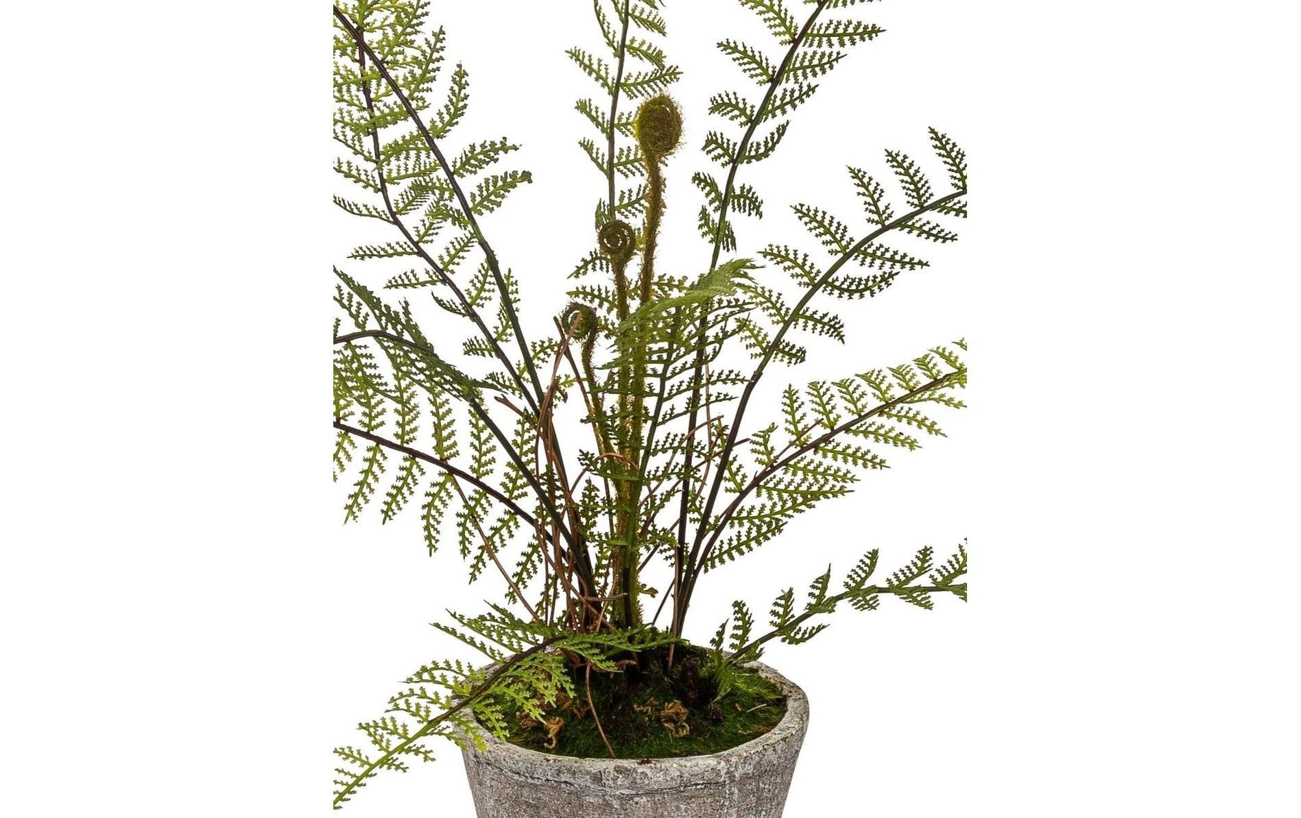 Kunstblume »Dekomat AG Baumfarn im Topf 55 cm«