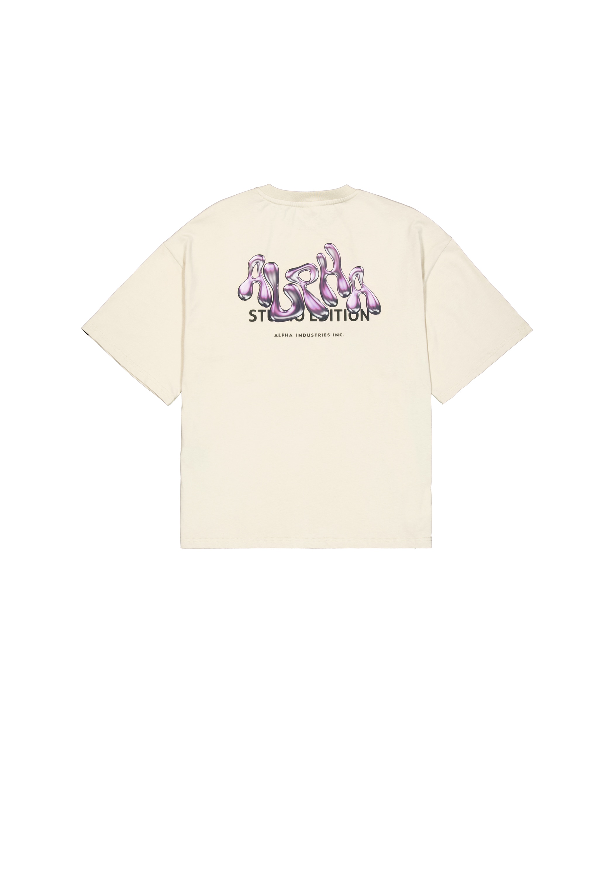 Alpha Industries T-Shirt »Studio Edition Backprint T-Shirt«