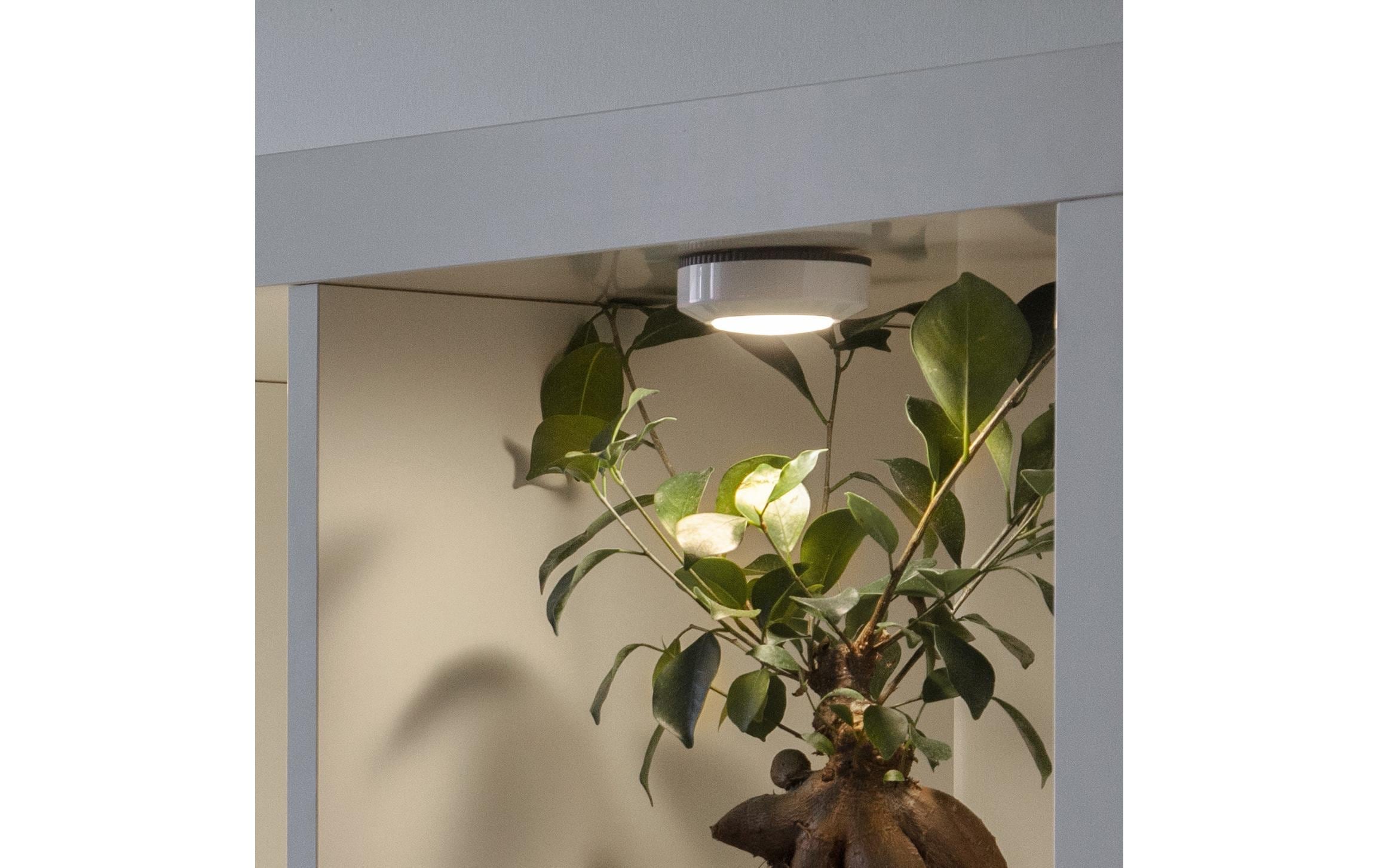 Parforce Traditional Hunting Lampe d'appoint »Unterbauleuchte LED«