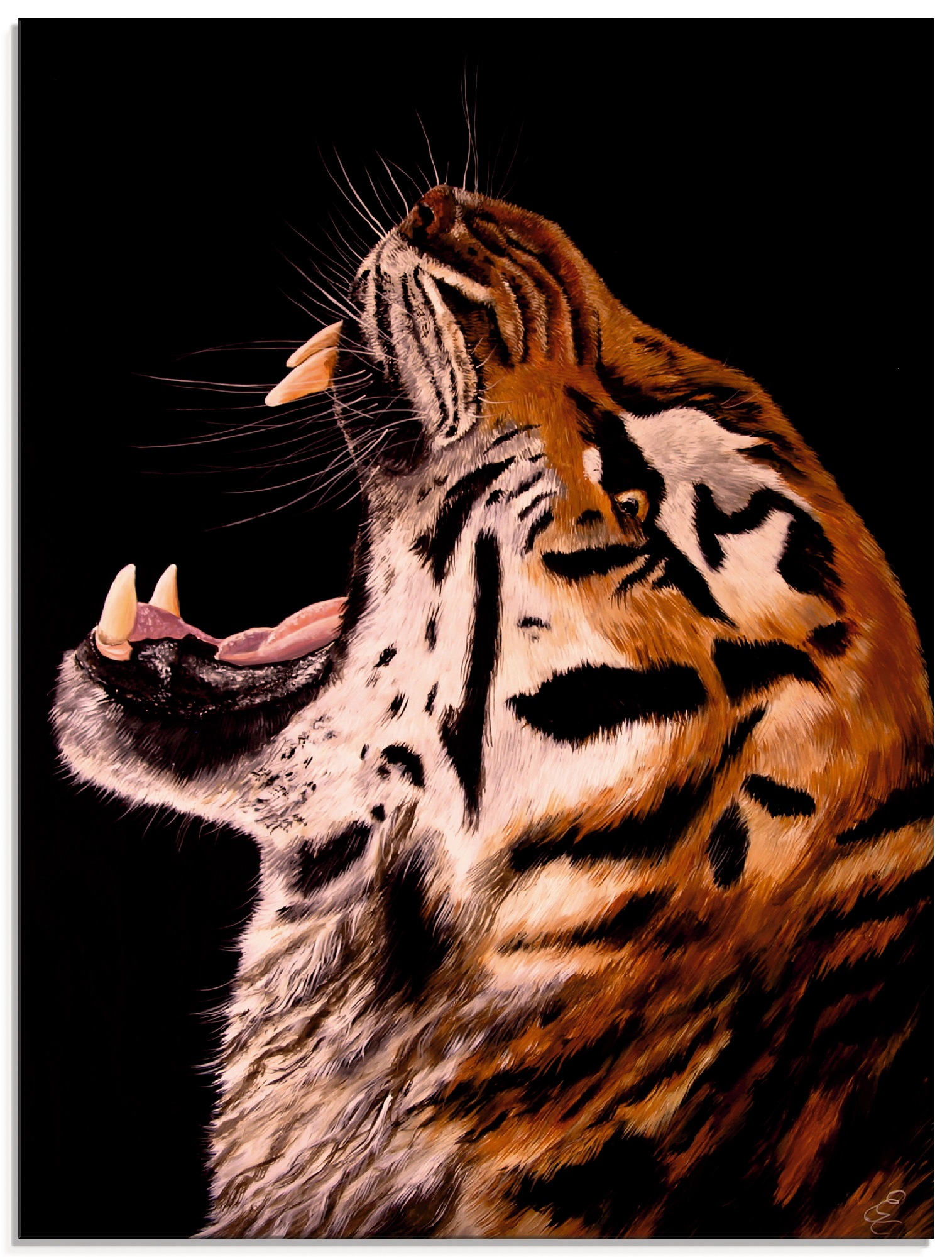 Image of Artland Glasbild »Tiger«, Wildtiere, (1 St.) bei Ackermann Versand Schweiz