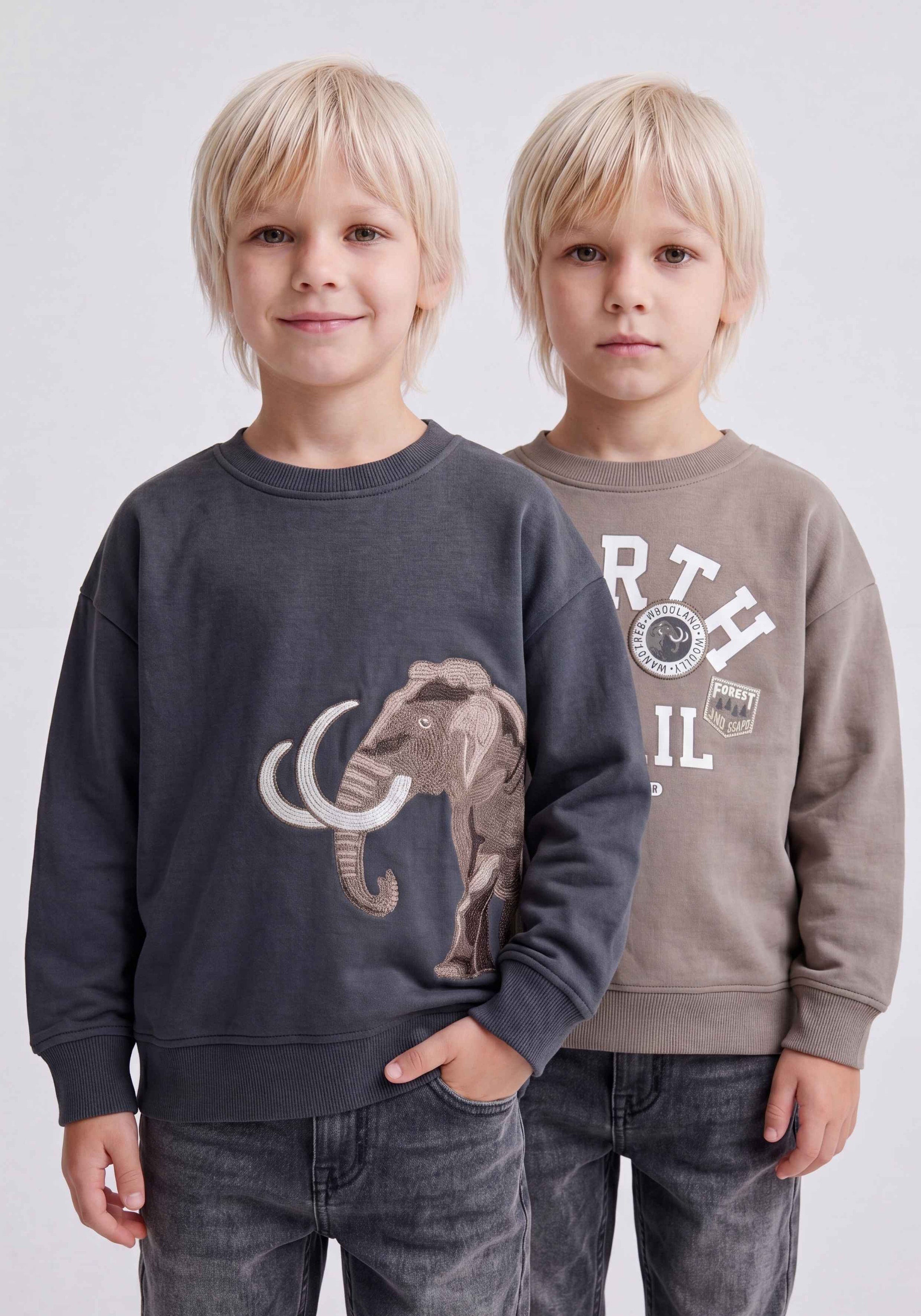 Image of STACCATO Sweater, 2er Pack Sweater / bedruckt / für Boys