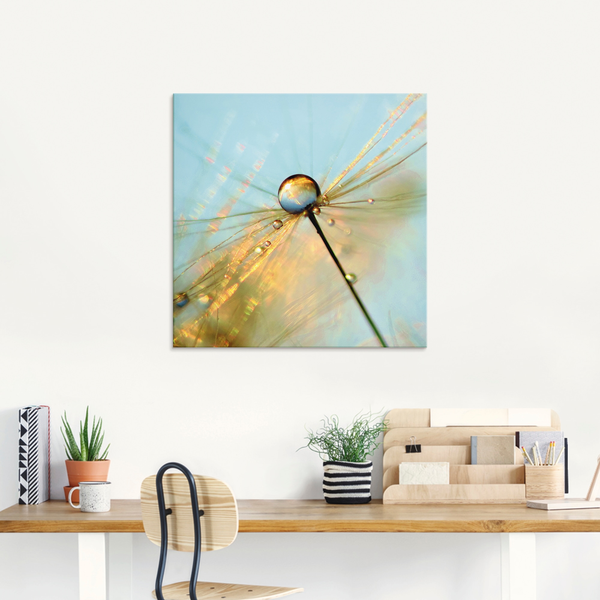 Artland Glasbild »Pusteblume Tautropfen II«, Blumen, (1 St.), in verschiedenen Grössen