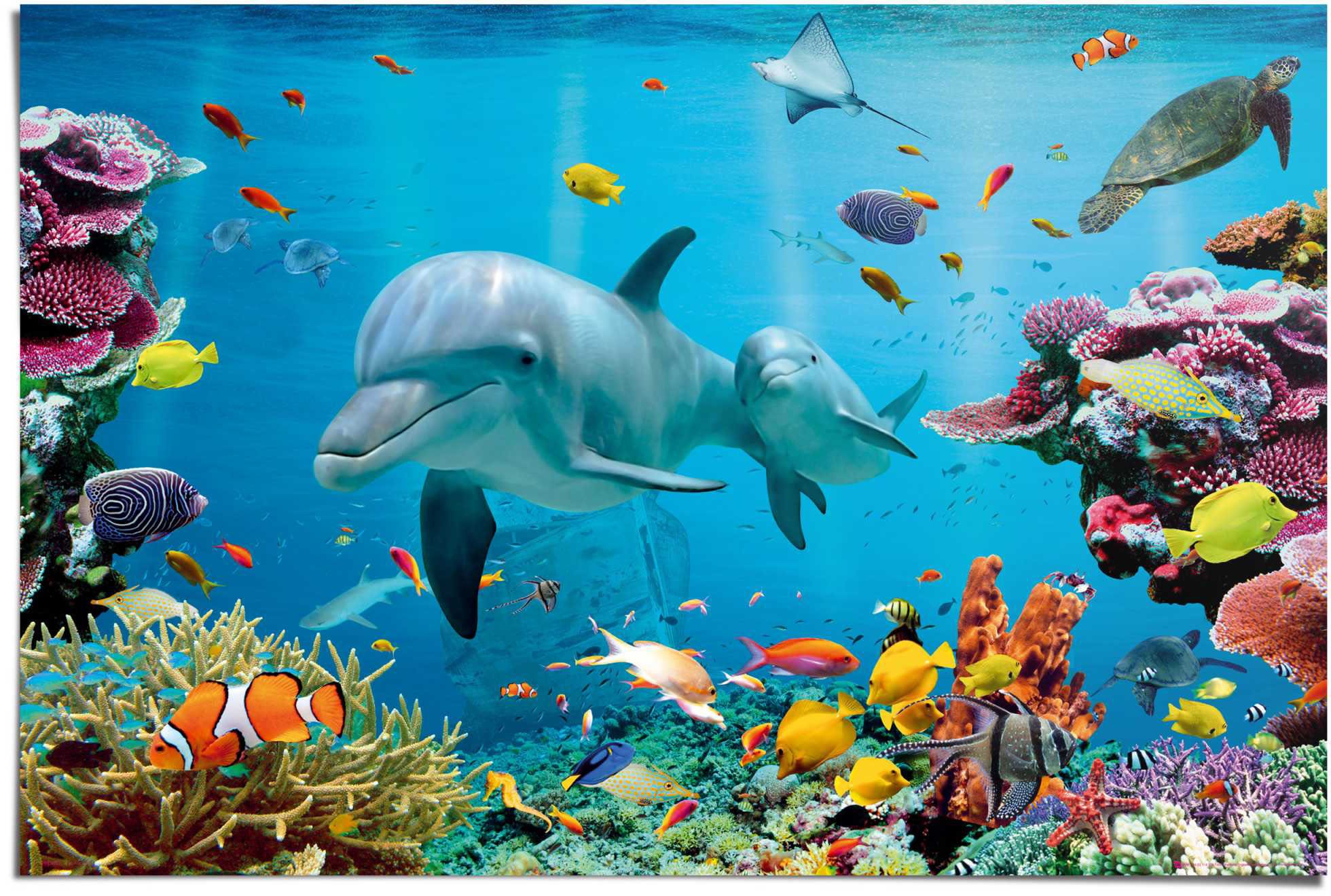 Image of Reinders! Poster »Tropisch Unterwasser«, (1 St.) bei Ackermann Versand Schweiz