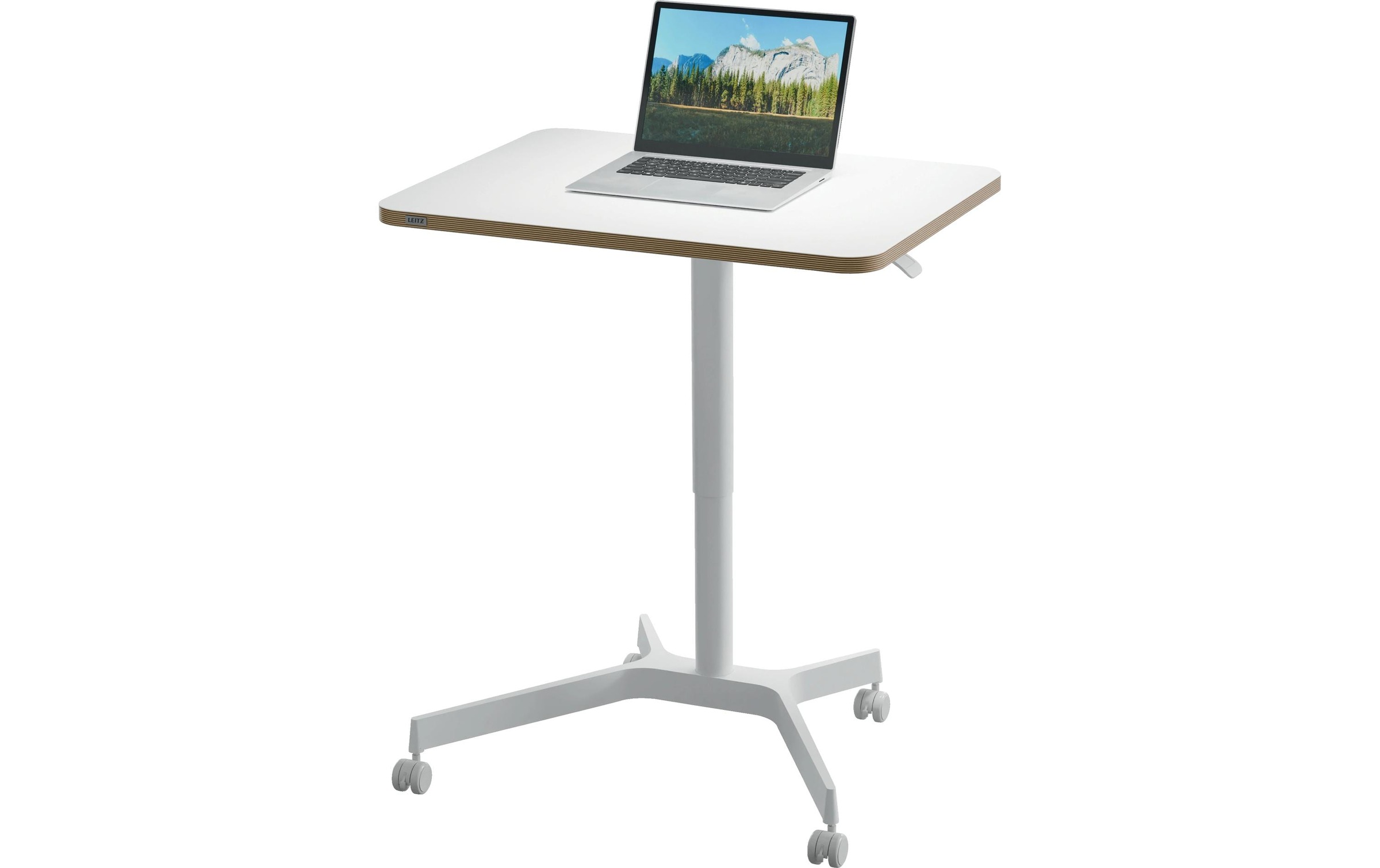 LEITZ Schreibtisch