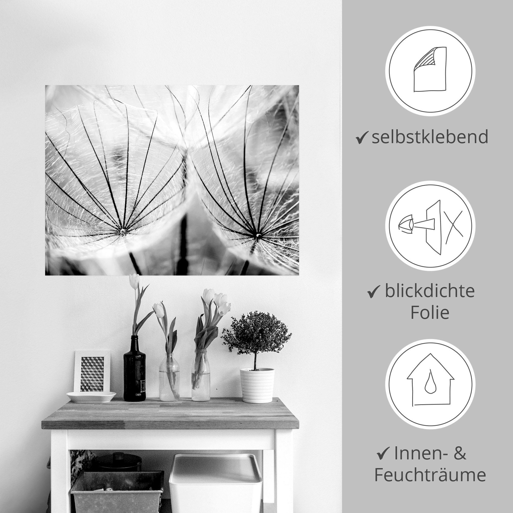Artland Wandbild »Pusteblume in schwarzweiss«, Blumen, (1 St.), als Alubild, Outdoorbild, Leinwandbild, Poster, Wandaufkleber