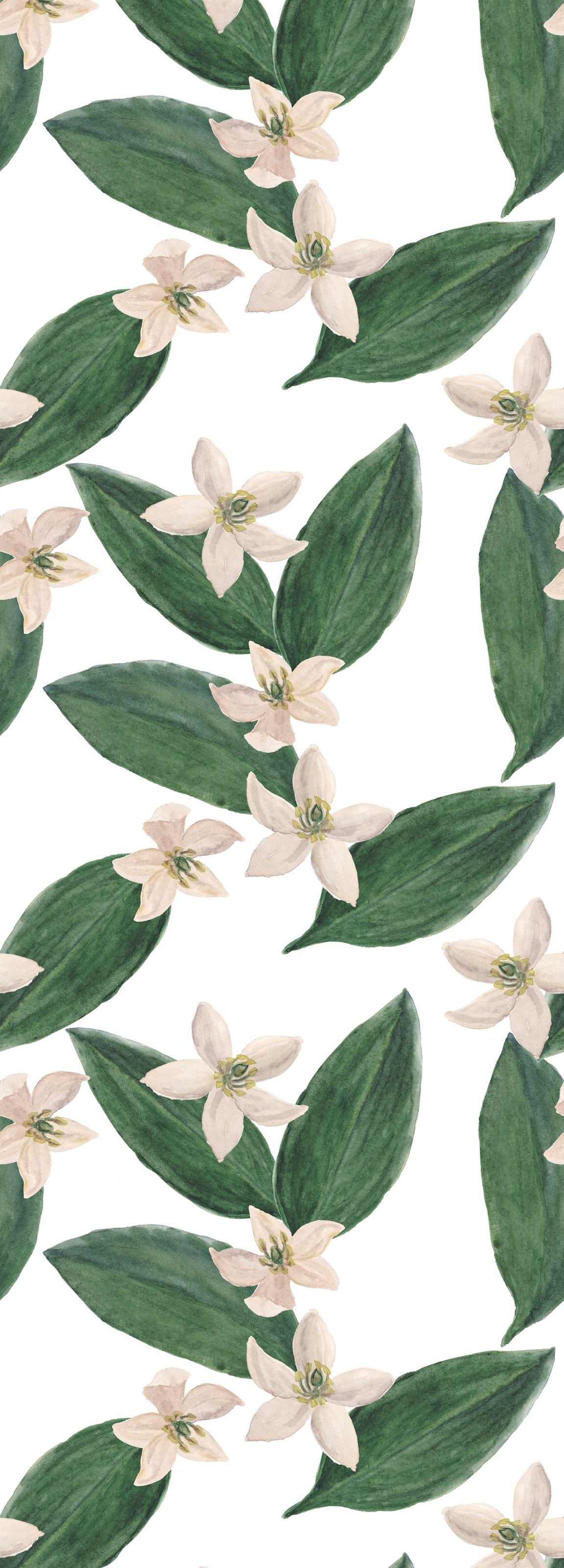 Image of queence Vinyltapete "Moif" Motiv bedruckt botanisch floral gemustert natürlich glatt 90x250cm, selbstklebend, kinderleichte Anbringung, Sticker
