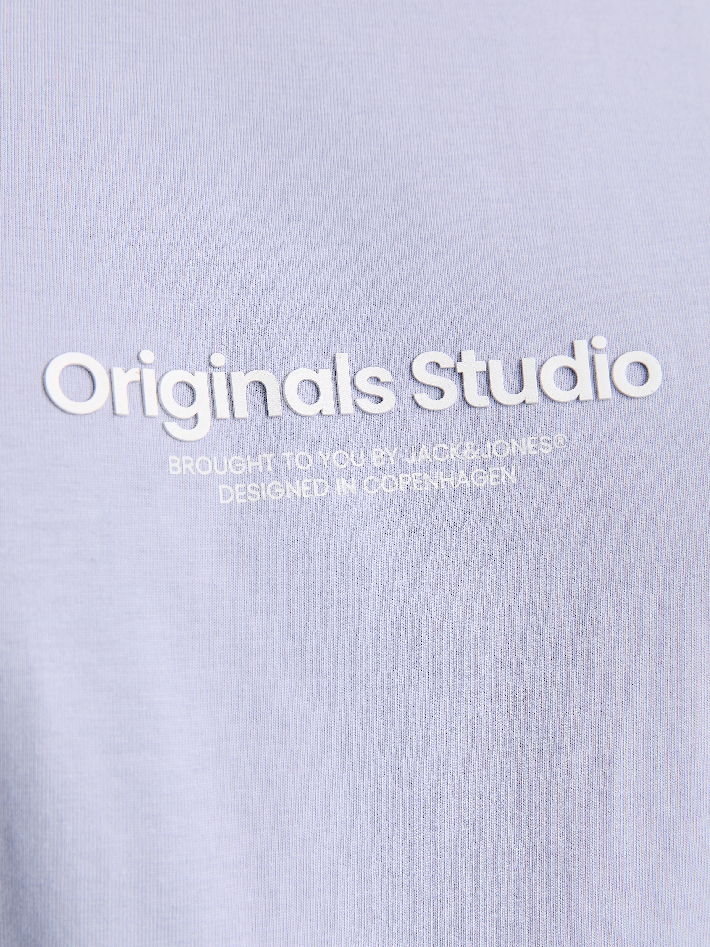 Jack & Jones PlusSize Kurzarmshirt »JORVESTERBRO TEE SS CREW NECK NOOS PLS«