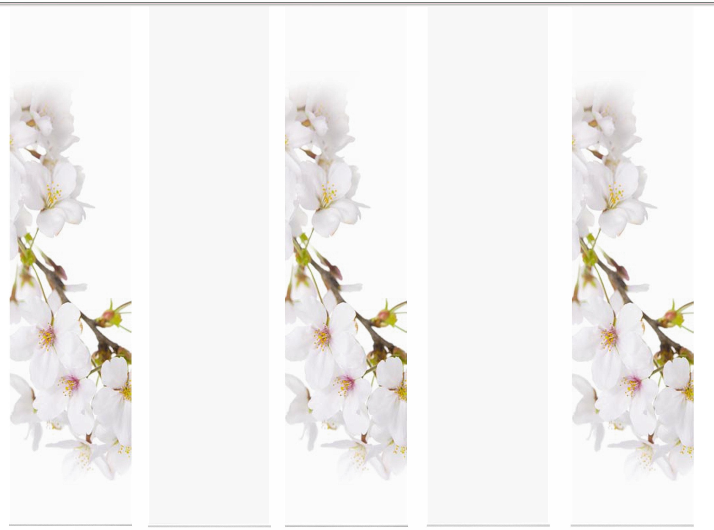 Image of HOME WOHNIDEEN Schiebegardine »KIRANGI 5ER SET«, (5 St.), HxB: 245x60 bei Ackermann Versand Schweiz