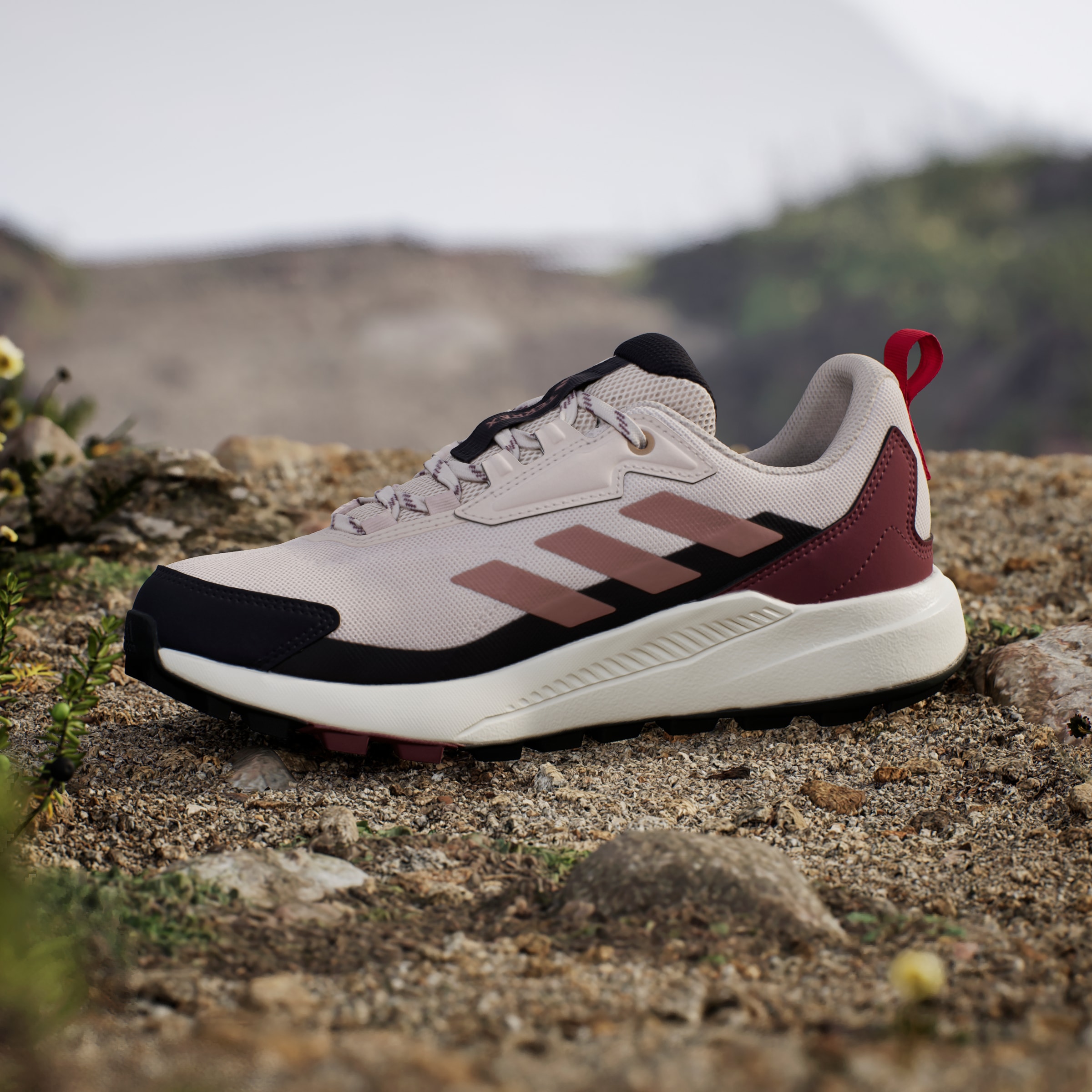 adidas TERREX Wanderschuh »TERREX ANYLANDER«
