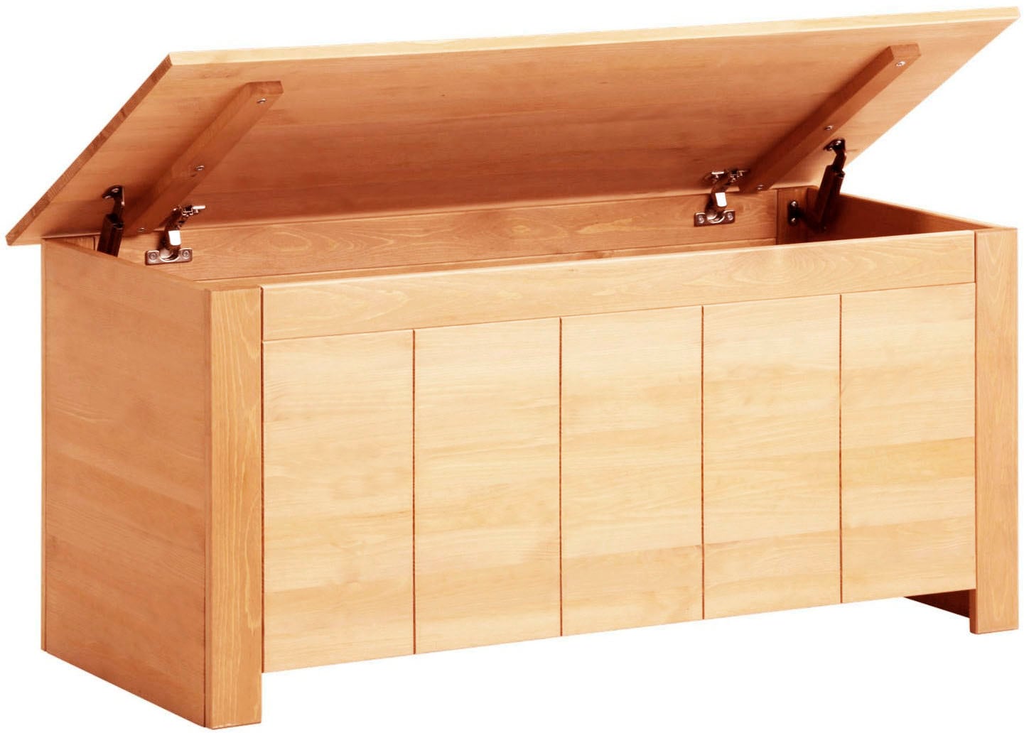 Home affaire Coffre-siège »Bertram«