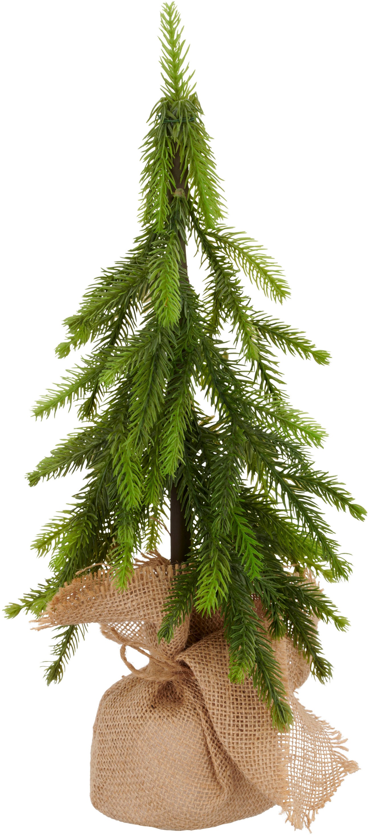 Creativ green Winterliche Kunstpflanze »Tannenbäumchen« im Set aus 2 Grössen