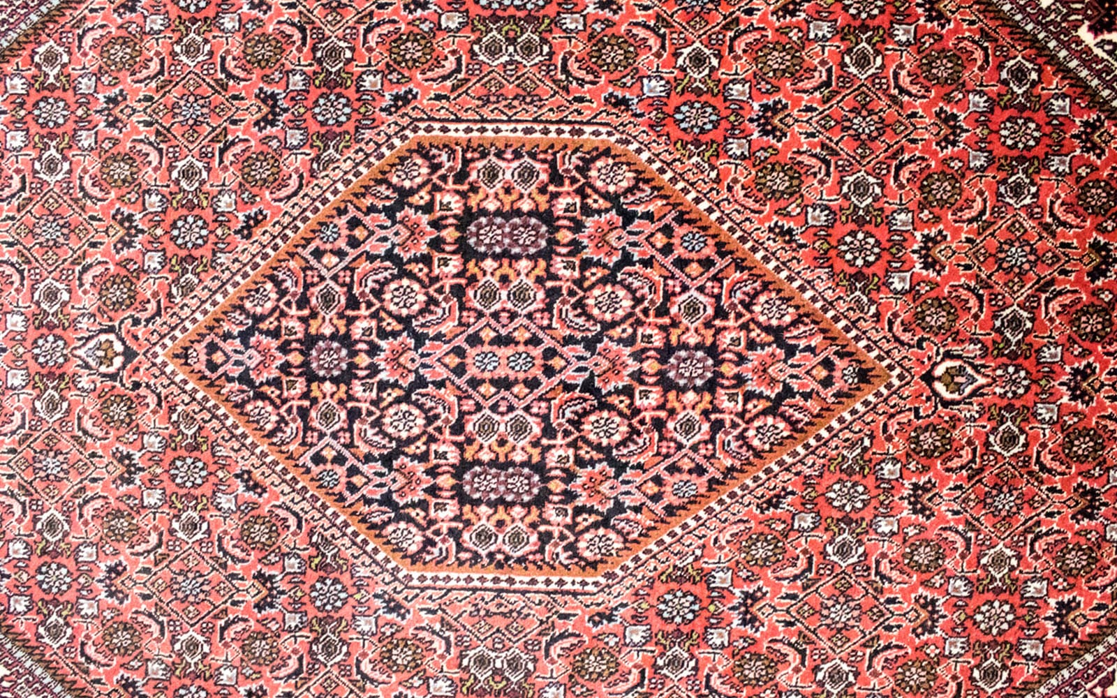 morgenland Teppich »Bidjar Bukan Teppich handgeknüpft braun«, rechteckig, handgeknüpft