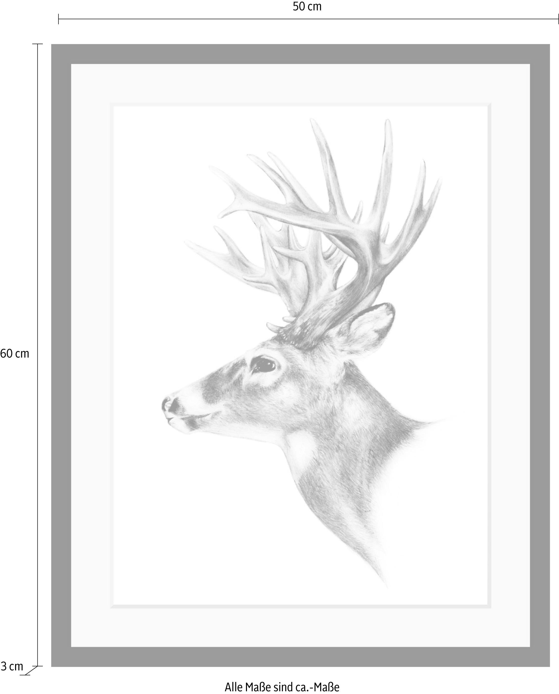 queence Bild »Hirsch«, Hirsch-Tiere-Wildtiere-Hirschbilder-Schwarz-Weiss, HD Premium Poster-Druck inkl. Holzrahmen