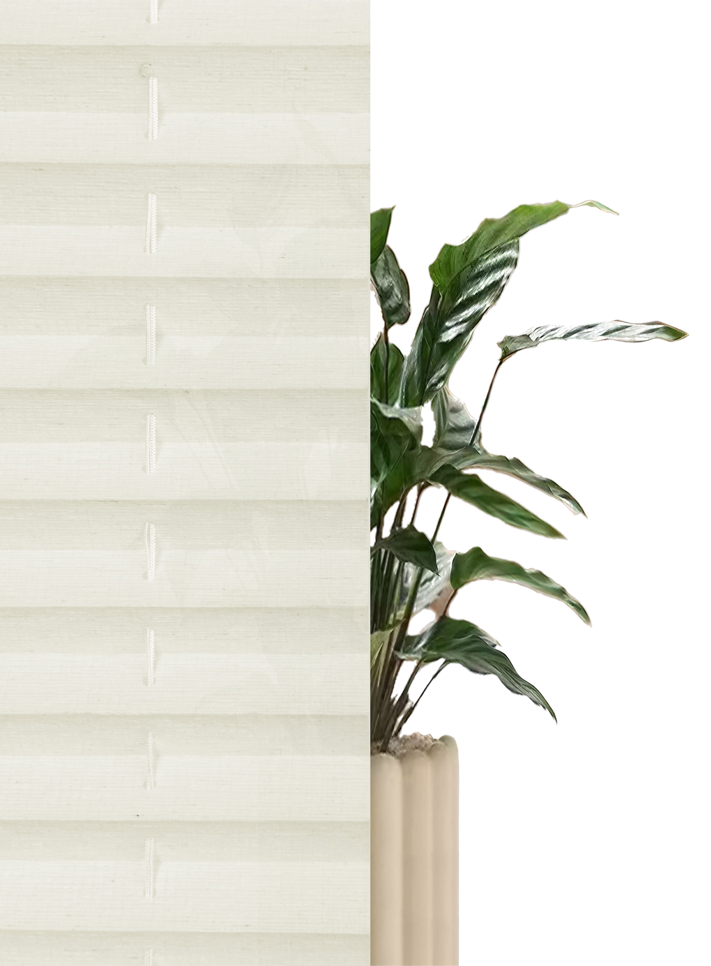 GOODproduct Plissé »NELLIA« protection contre la lumière Aucun perçage requis suspendu librement Klemmfix, texture fine, NOUVEAUTÉ pour fenêtres et portes, protection contre la lumière