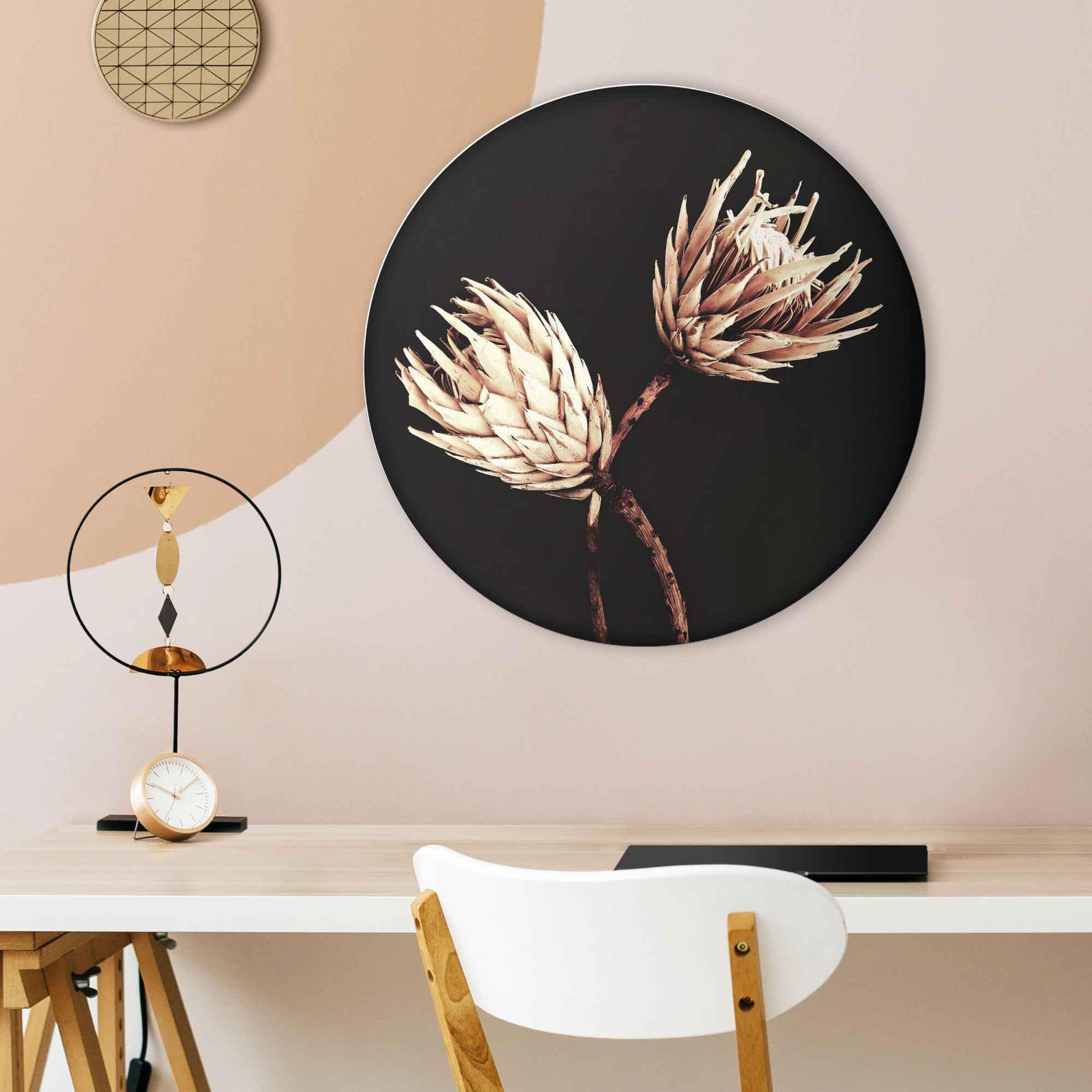 Reinders! Wandbild »Wandbild Trockenblumen Exotisch - Vintage - Protea«, Blumen, (1 St.)