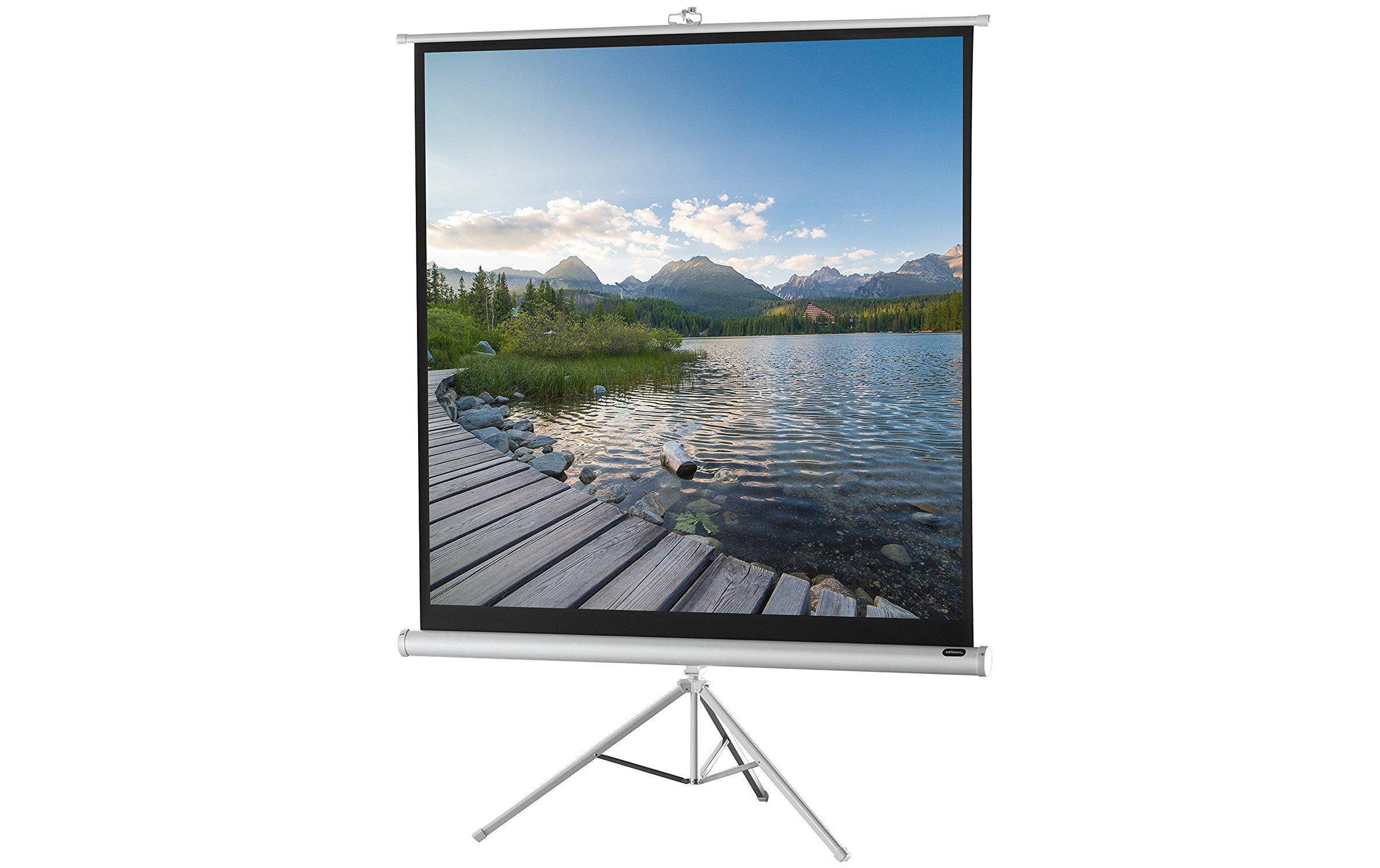Image of Celexon Stativleinwand "Eco 184x184 cm"
