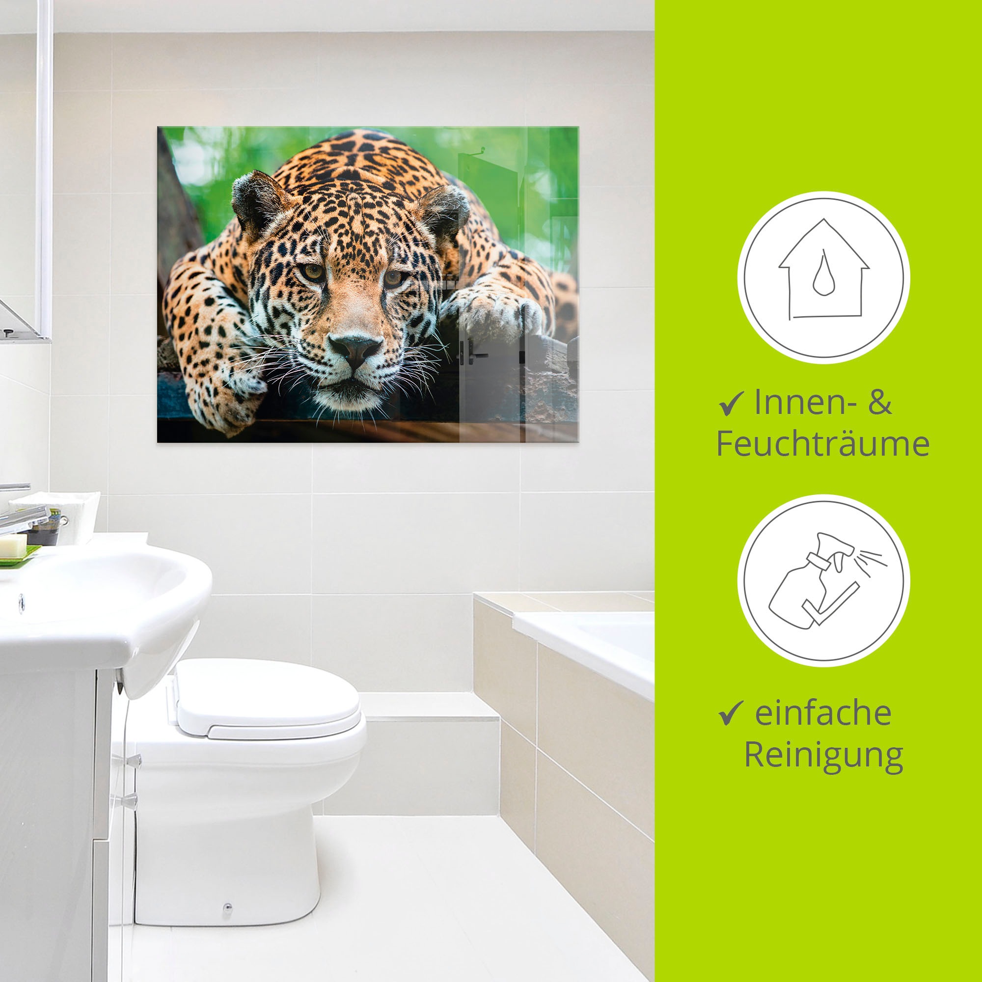 Artland Glasbild »Südamerikanischer Jaguar« Wildtiere 1 Stk. tlg. in verschiedenen Grössen