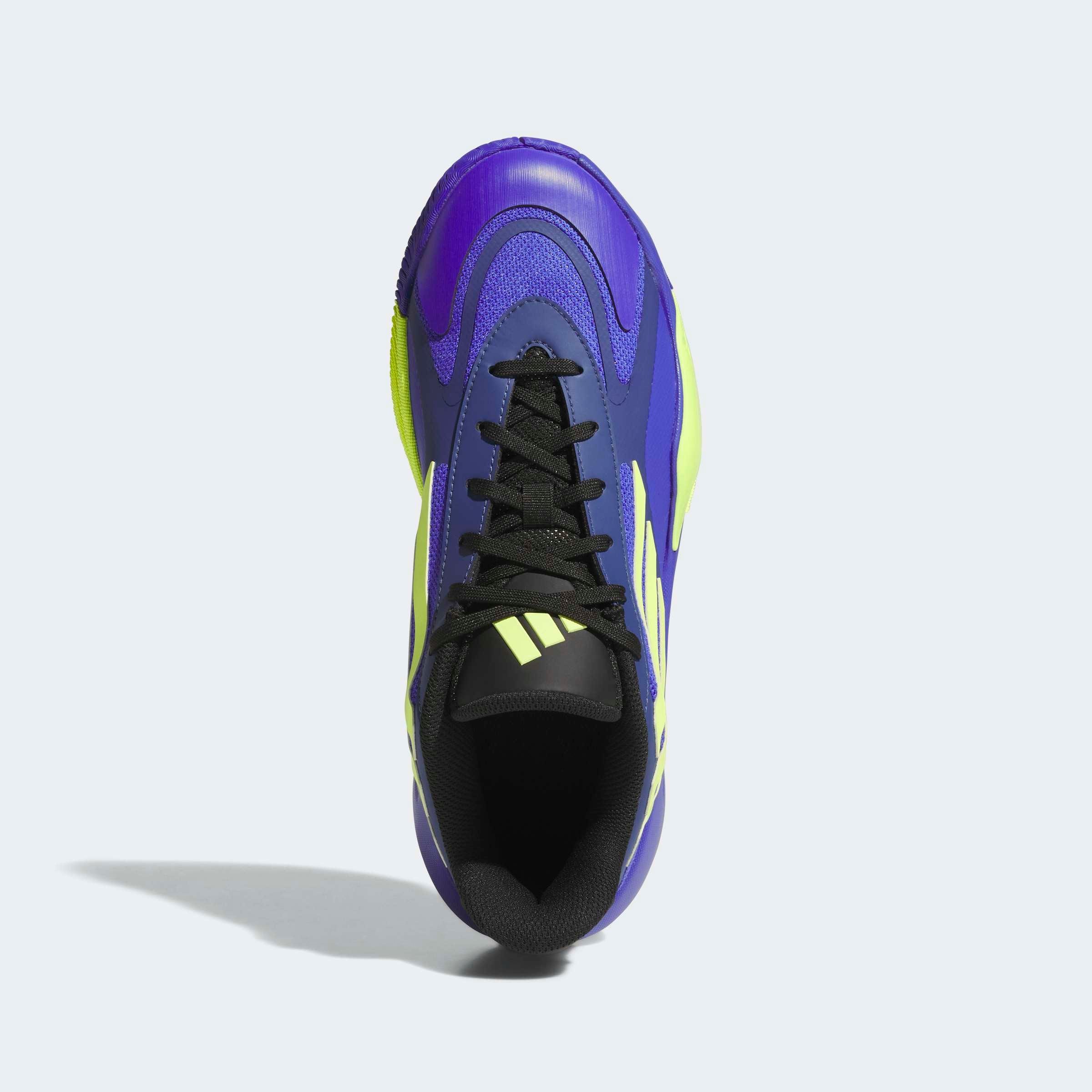 adidas Performance Basketballschuh »CRAZY QUICK TD«