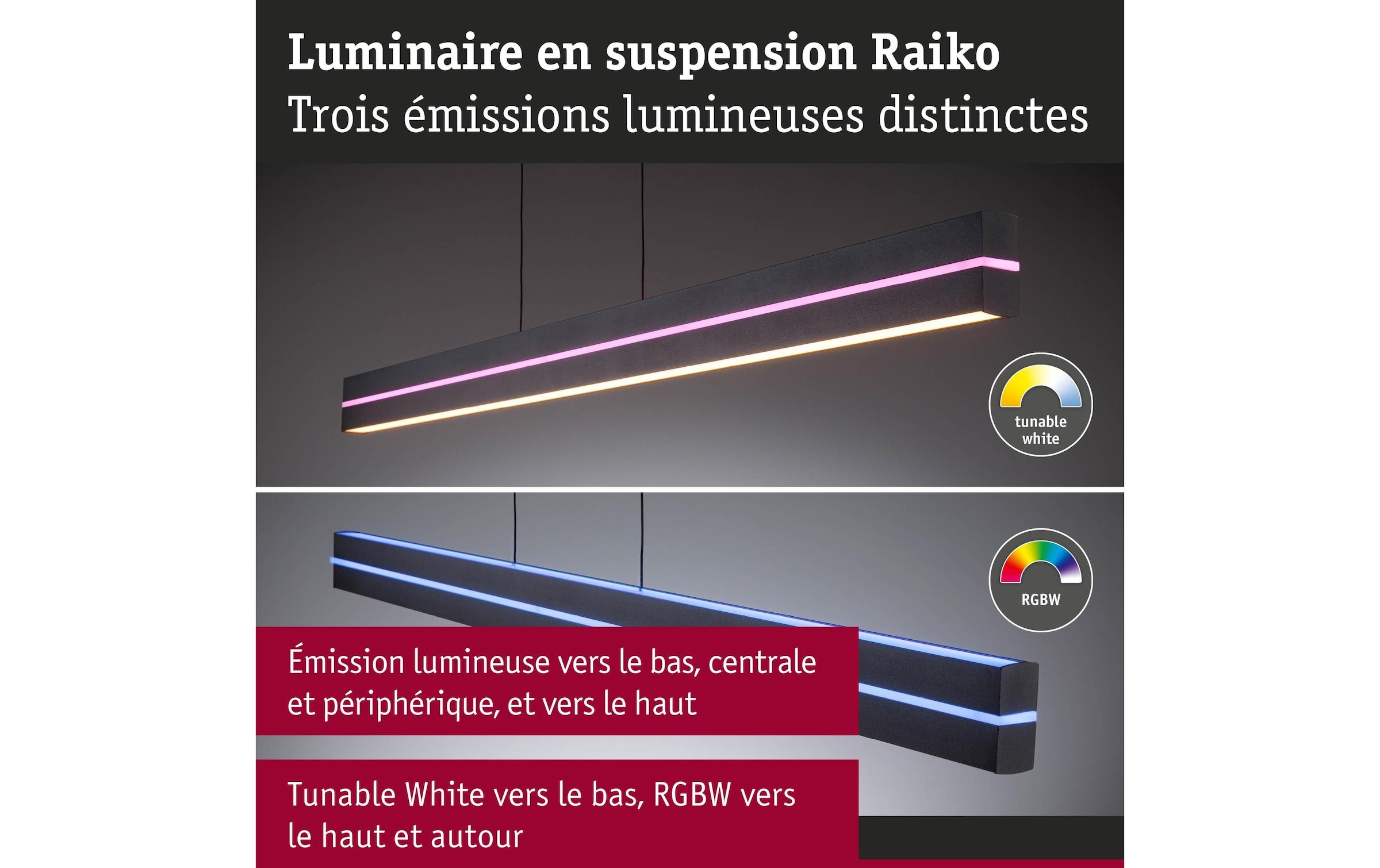 Paulmann Pendelleuchte »LED Pendelleuchte Raiko« LED-Modul RGB | warmweiss - kaltweiss