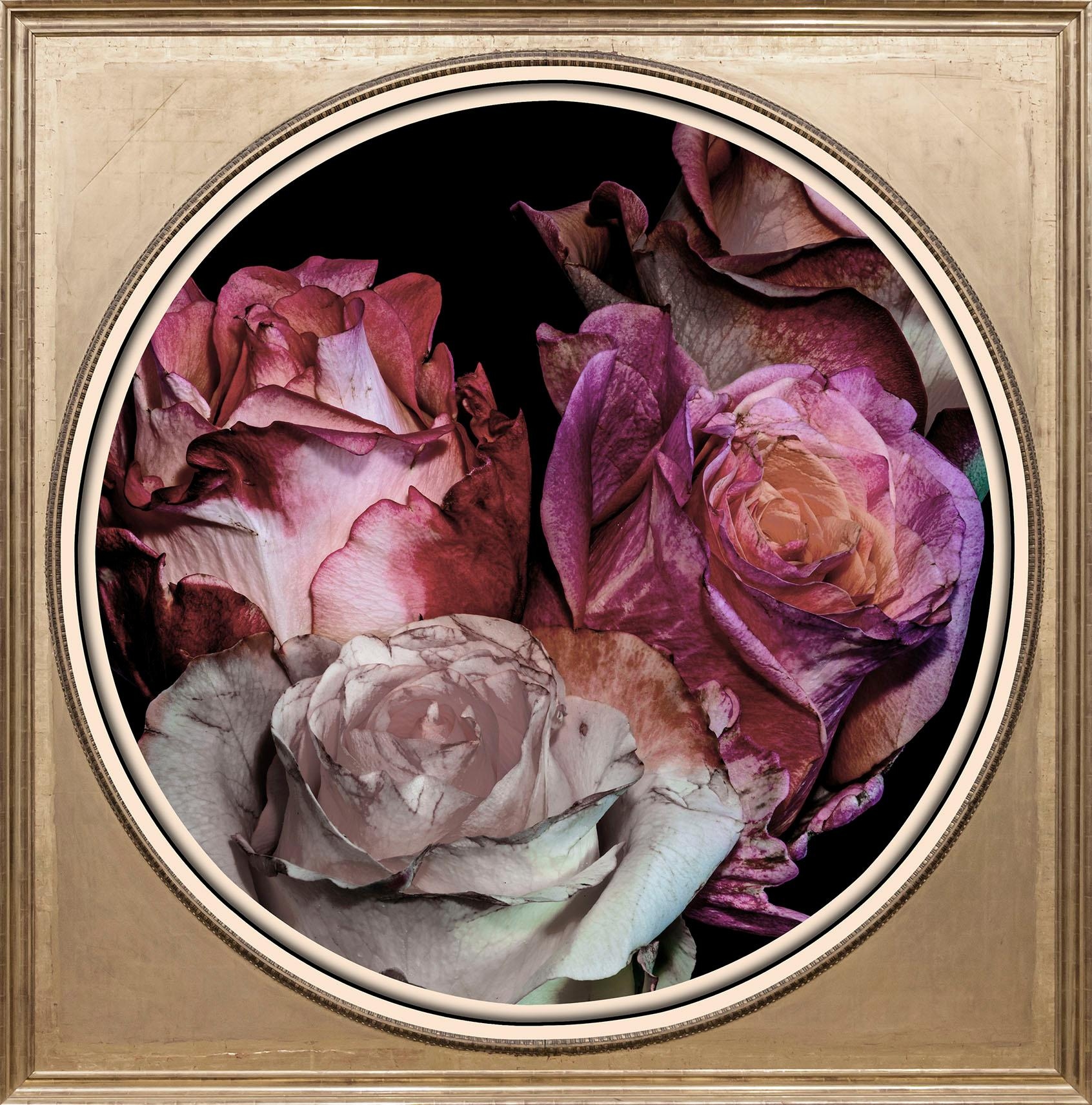 Acrylglasbild »Getrocknete Rosen«