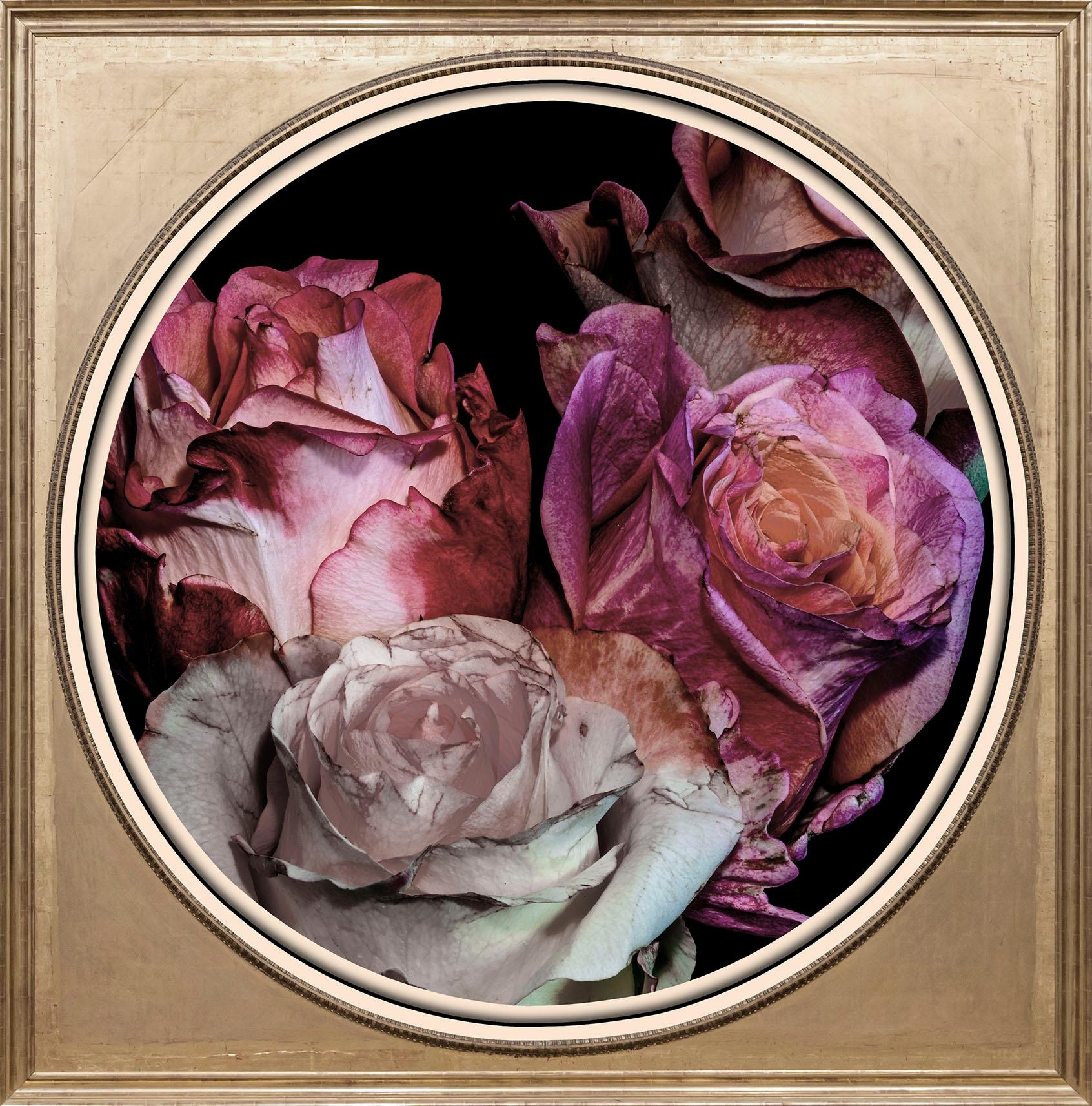 Image of queence Acrylglasbild »Getrocknete Rosen« bei Ackermann Versand Schweiz