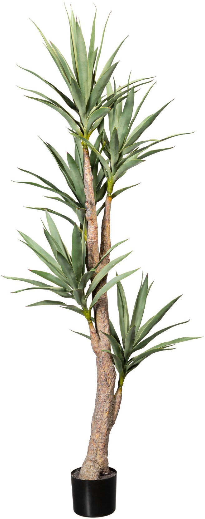 Image of Creativ green Künstliche Zimmerpflanze »Dracaena«, (1 St.) bei Ackermann Versand Schweiz