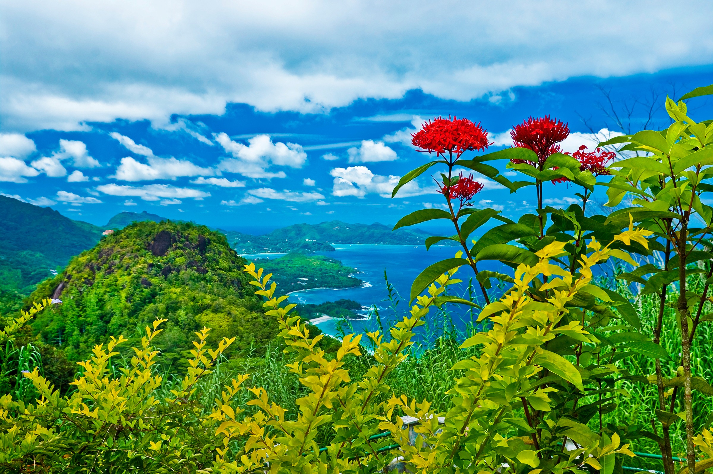 Image of Papermoon Fototapete »INSEL-SEYCHELLEN BLUMEN KÜSTE GEBIRGE MEER PANORAMA«, Vliestapete, hochwertiger Digitaldruck, inklusive Kleister bei Ackermann Versand Schweiz