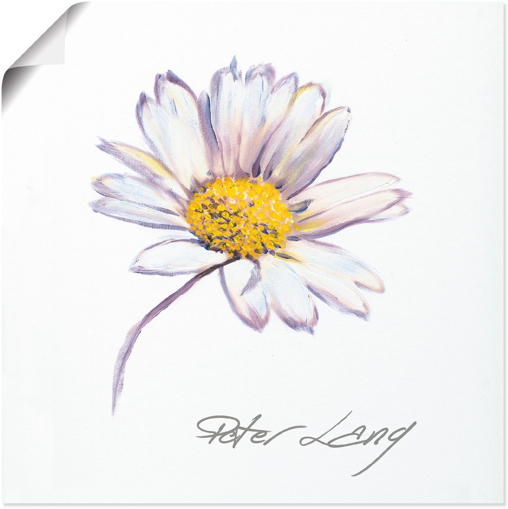 Image of Artland Wandbild »Blume_weiss V«, Blumenbilder, (1 St.), in vielen Grössen & Produktarten - Alubild / Outdoorbild für den Aussenbereich, Leinwandbild, Poster, Wandaufkleber / Wandtattoo auch für Badezimmer geeignet bei Ackermann Versand Schweiz