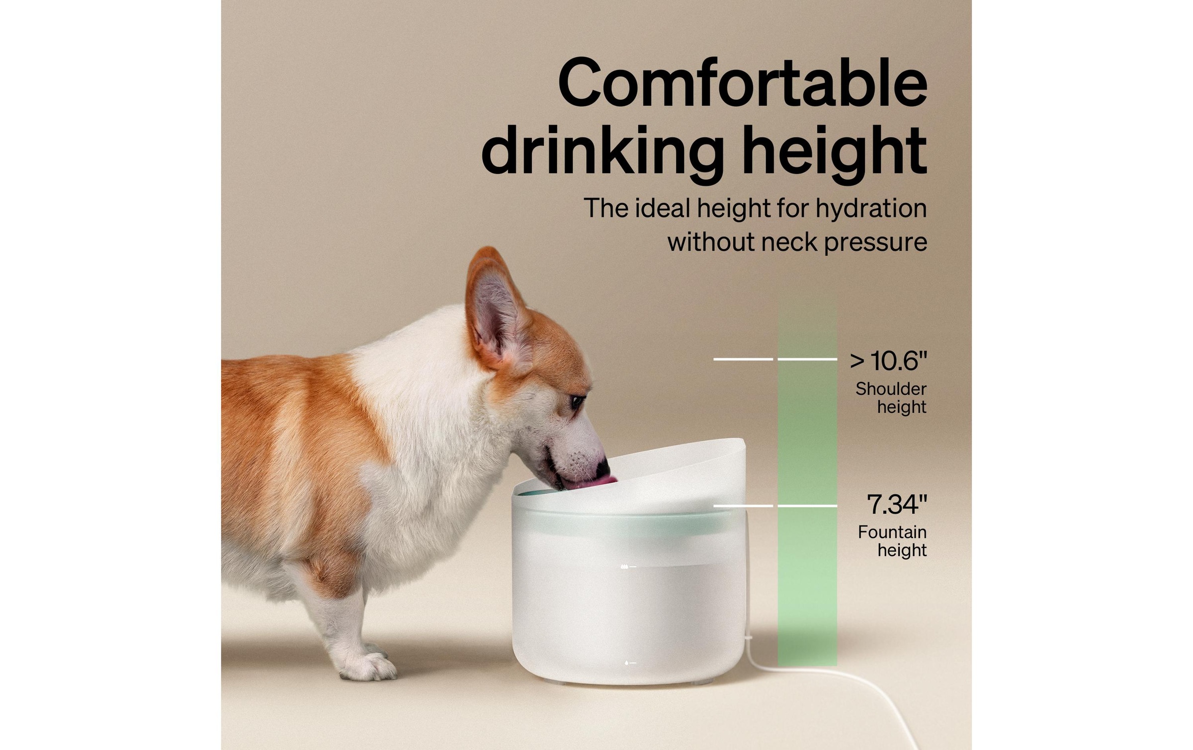   Trinkbrunnen »Petlibro Capsule Dog Fountain 8 l« Automatischer Trinkbrunnen