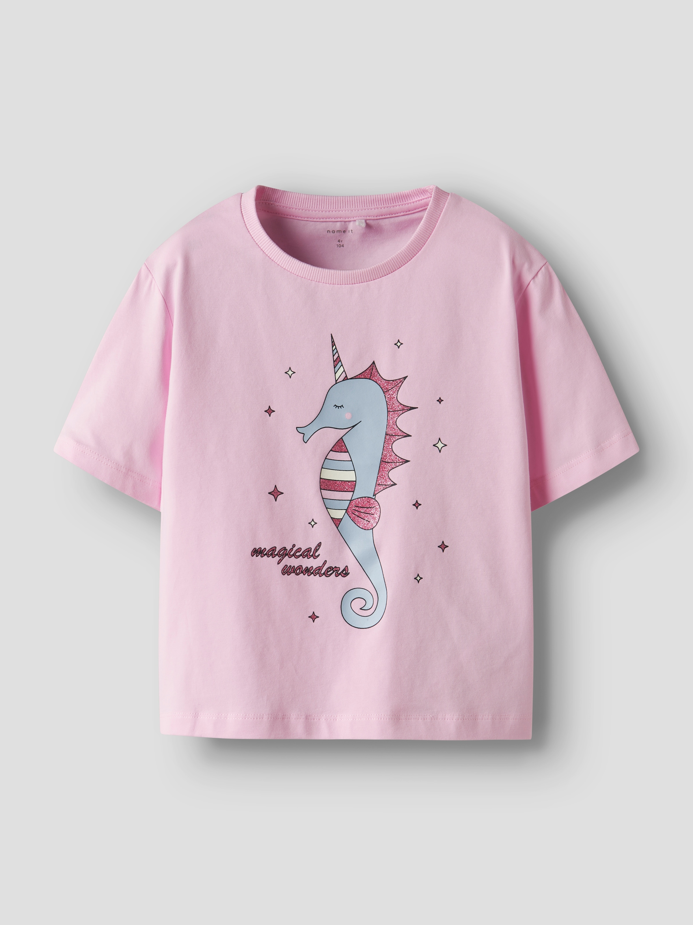 Name It T-Shirt »NMFFREJANE 2P SS NREG TOP«, (Packung, 2 tlg.)