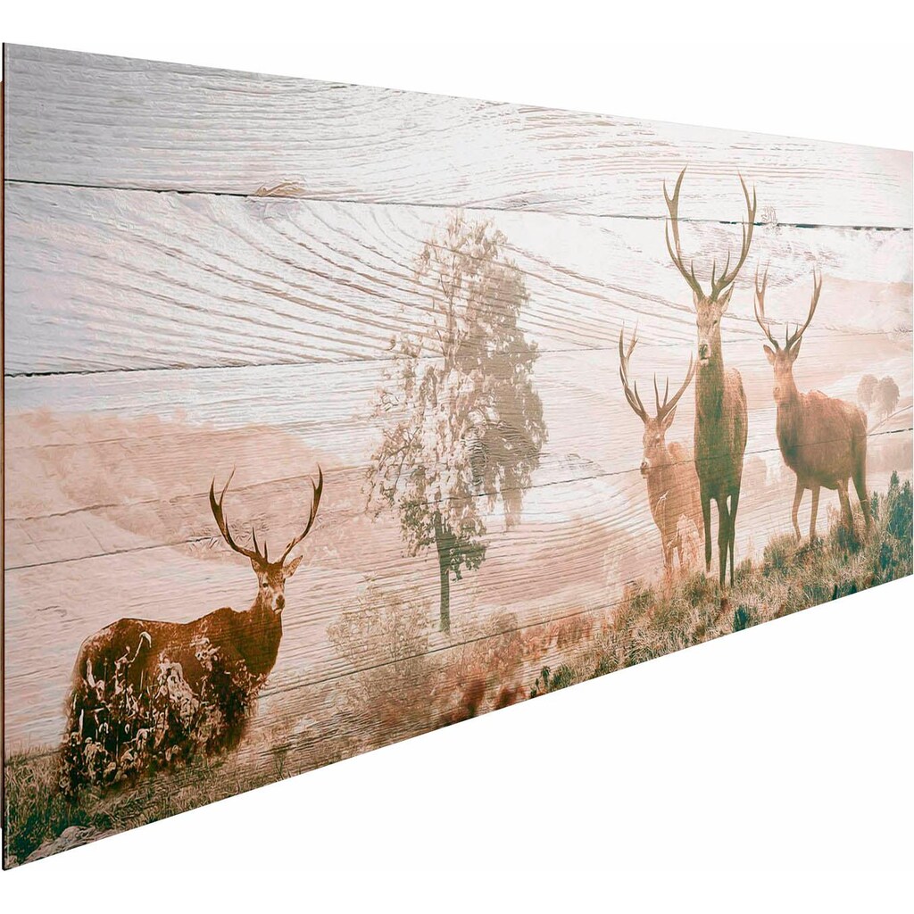 Reinders! Deco-Panel »Hirsche«