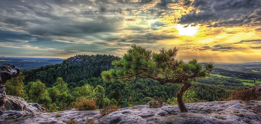 Image of Bönninghoff Leinwandbild »Keilrahmen«, (1 St.) bei Ackermann Versand Schweiz