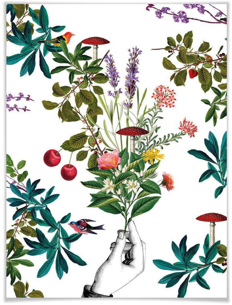 Image of Wall-Art Poster »Botanical Weiss«, Schriftzug, (1 St.) bei Ackermann Versand Schweiz
