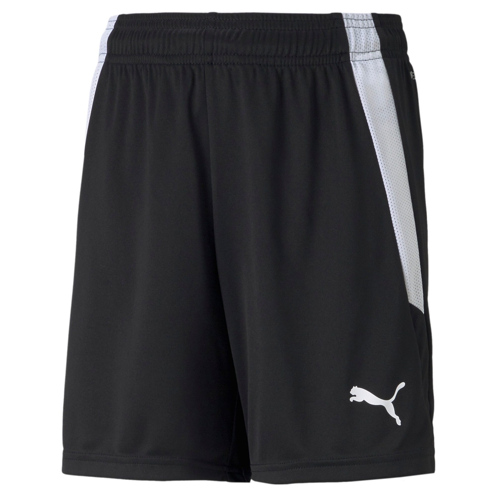 PUMA Trainingsshorts »TEAMLIGA SHORTS JR«