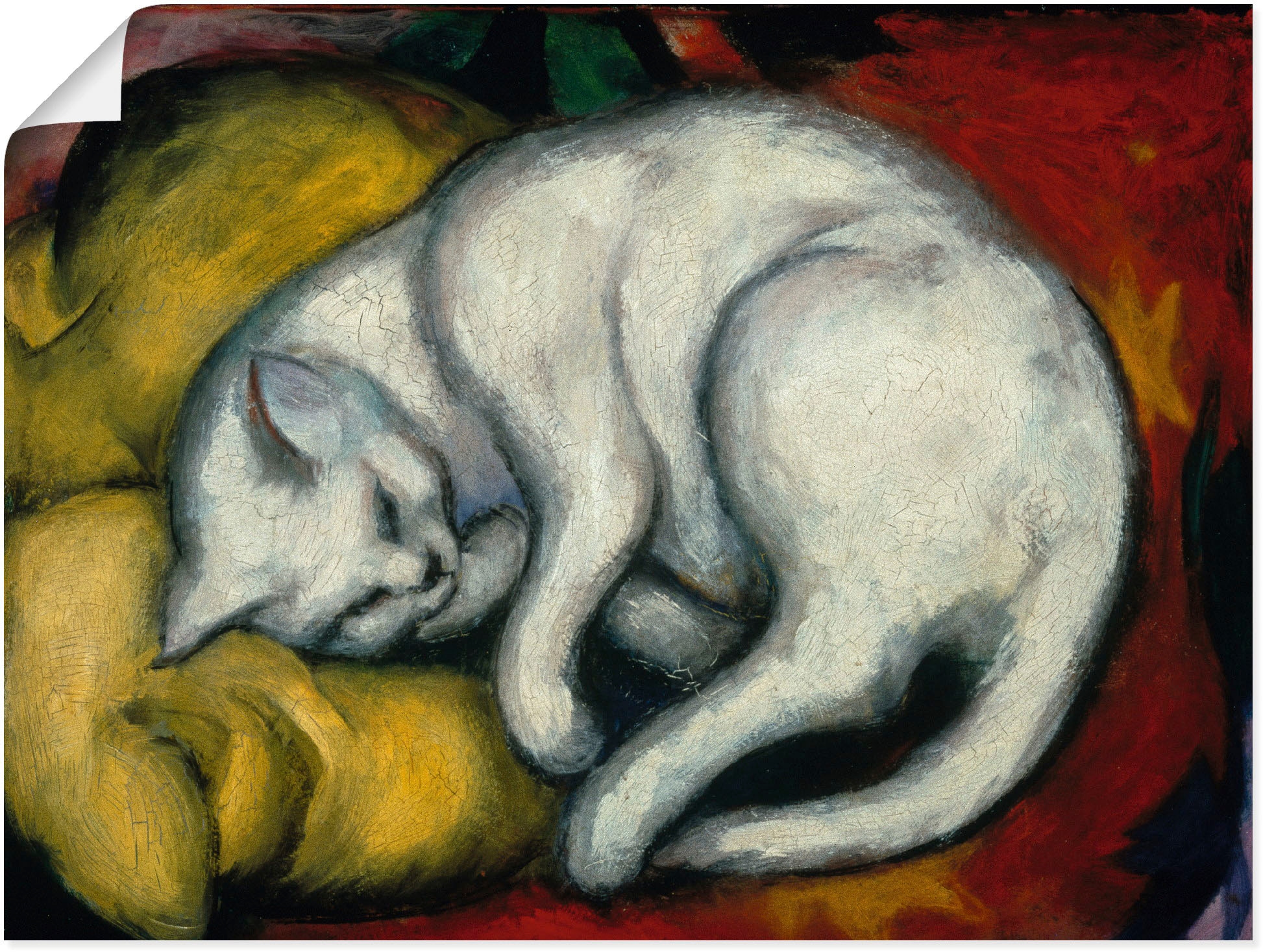Image of Artland Wandbild "Die weisse Katze. 1912" Haustiere 1 Stk. tlg. als Leinwandbild, Poster in verschied. Grössen