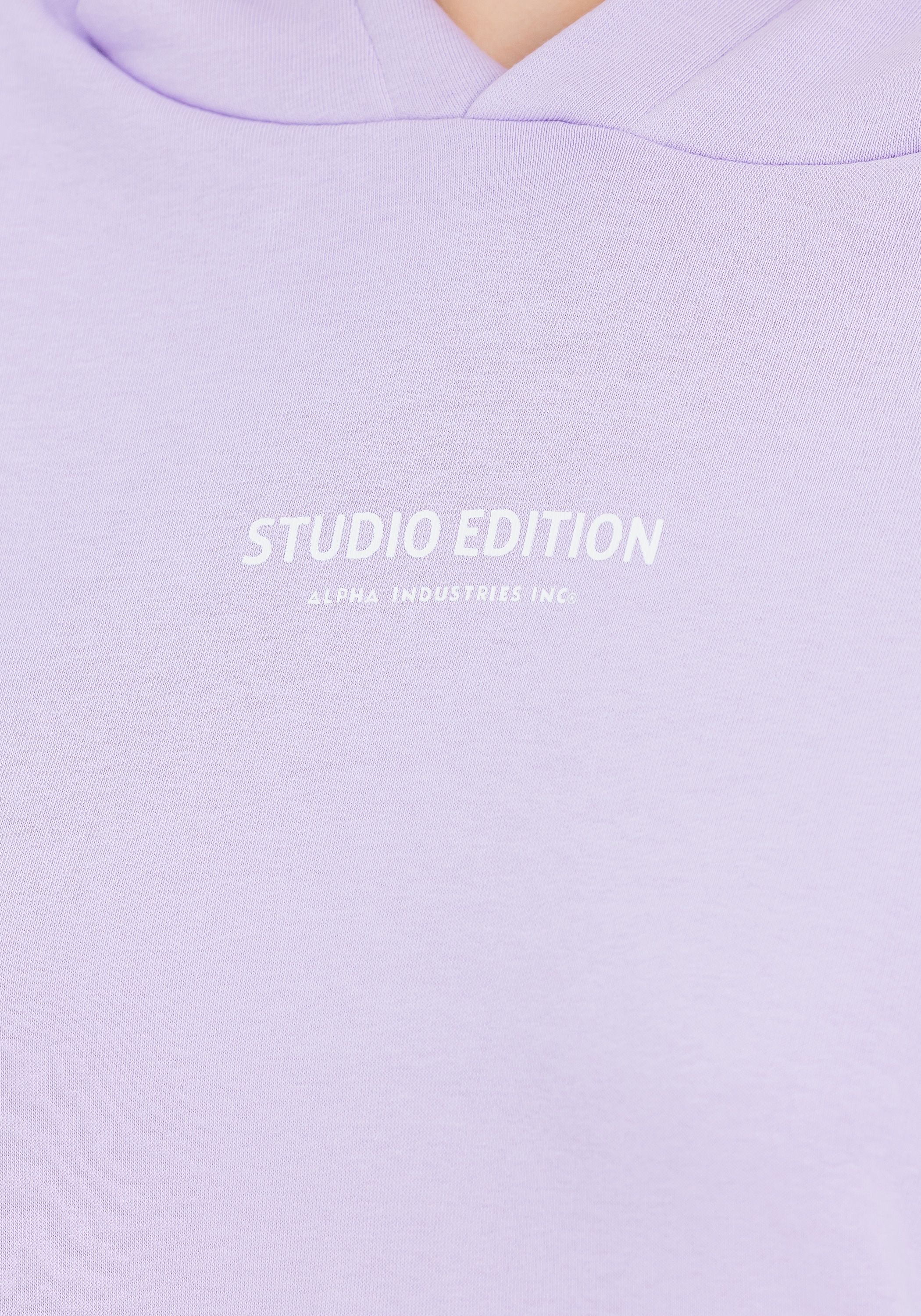 Alpha Industries Hoodie »Studio Edition Backprint Hoodie W«
