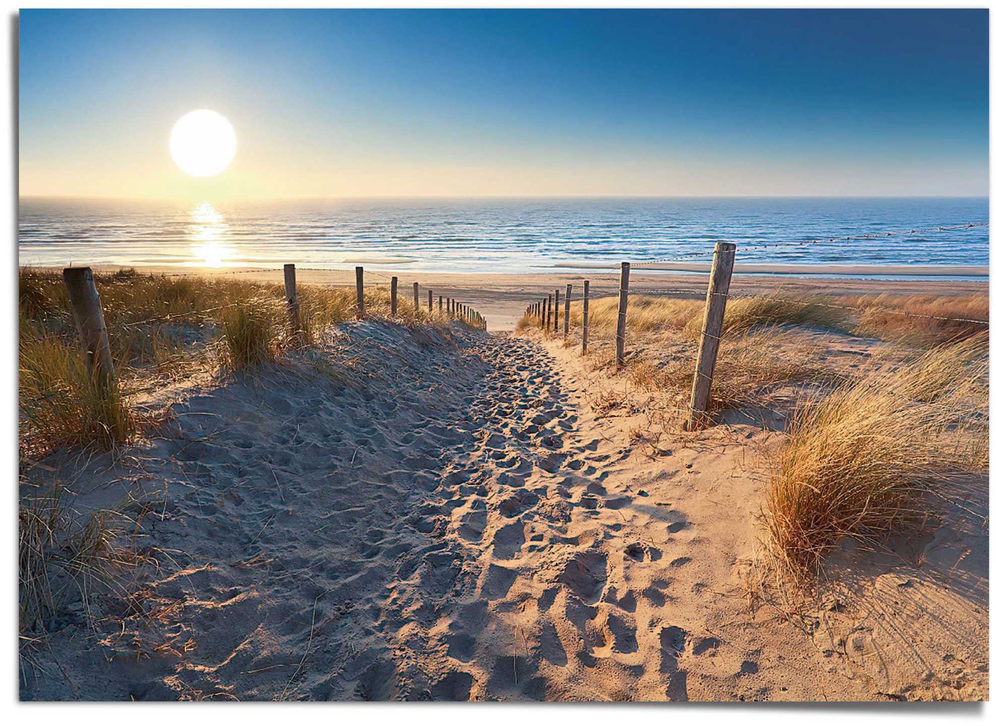 Image of Reinders! Poster »Weg durch die Dünen« bei Ackermann Versand Schweiz