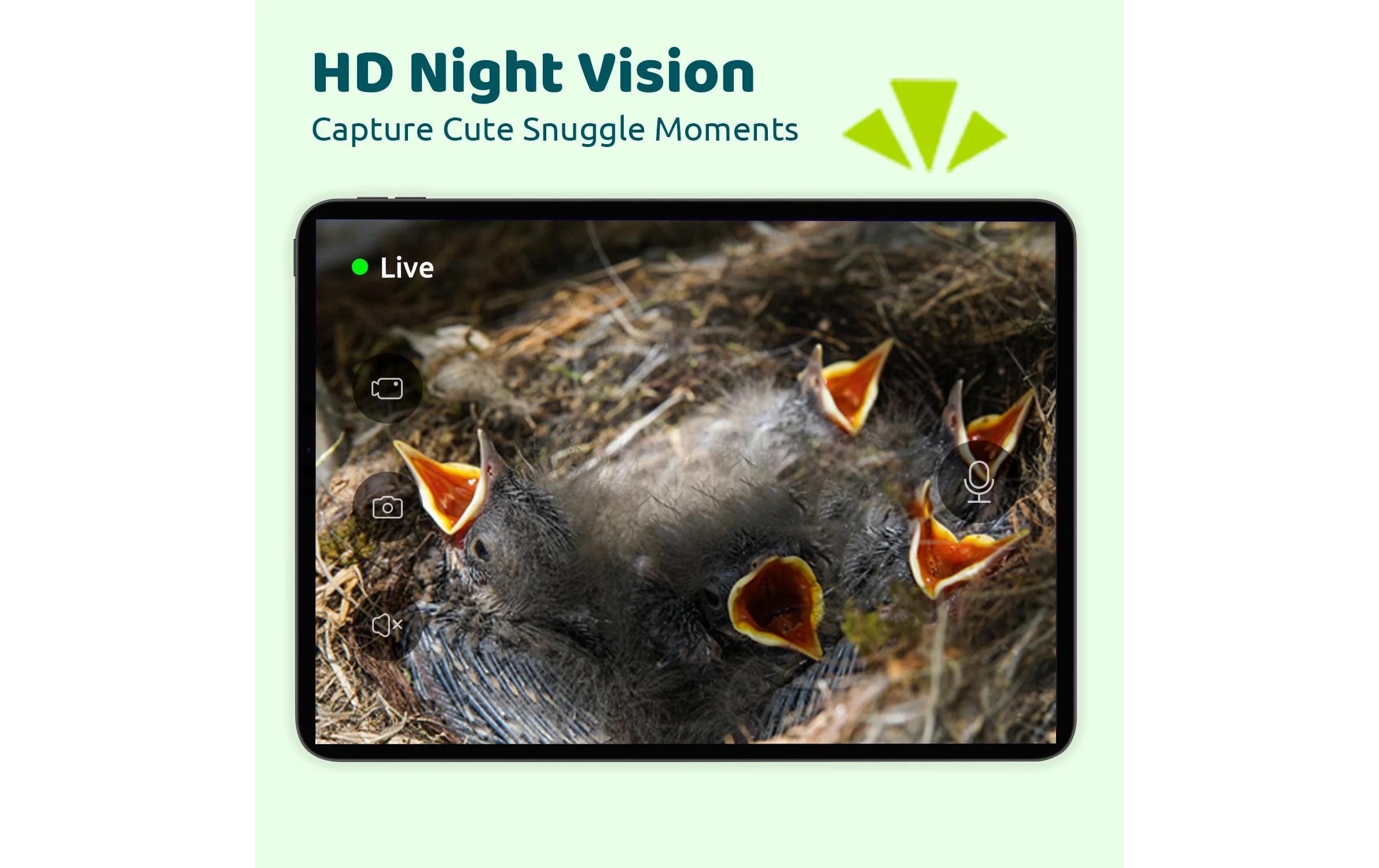 Birdfy Vogelhaus »Nistkasten mit Kamera und Solar«