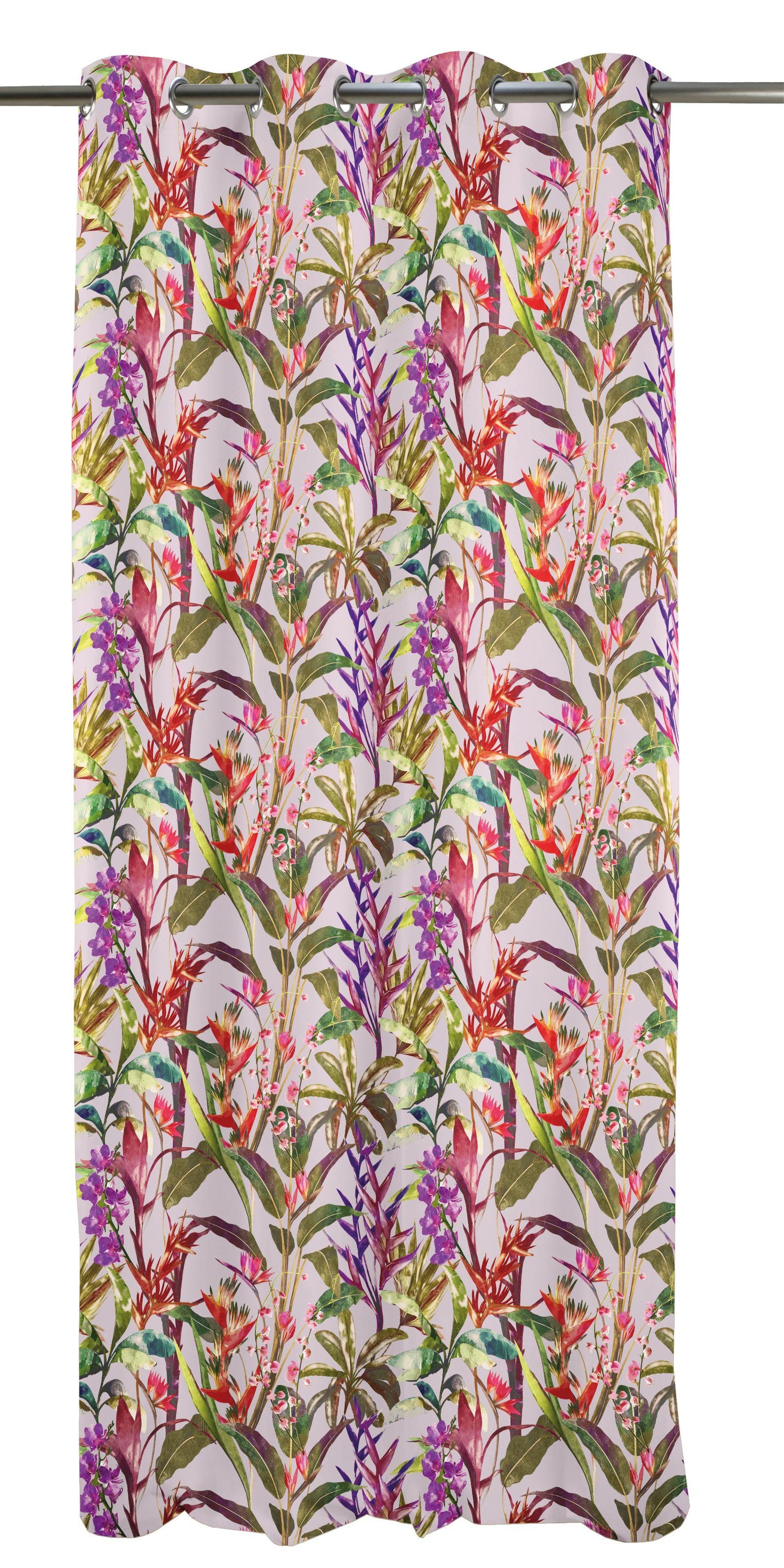 Image of APELT Vorhang »Exotic«, (1 St.), HxB: 245x135 bei Ackermann Versand Schweiz