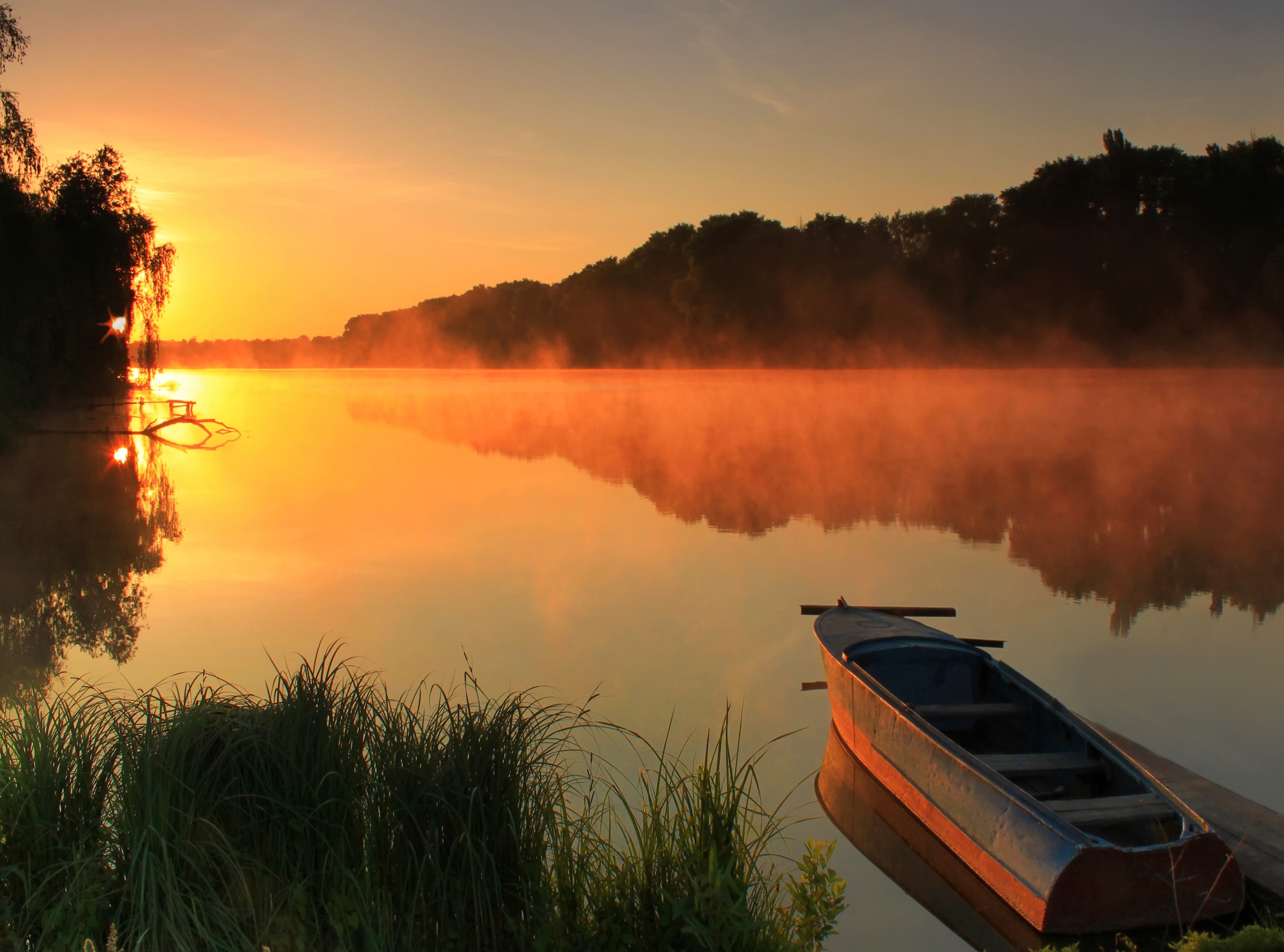 Image of Papermoon Fototapete "Misty Lake" glatt