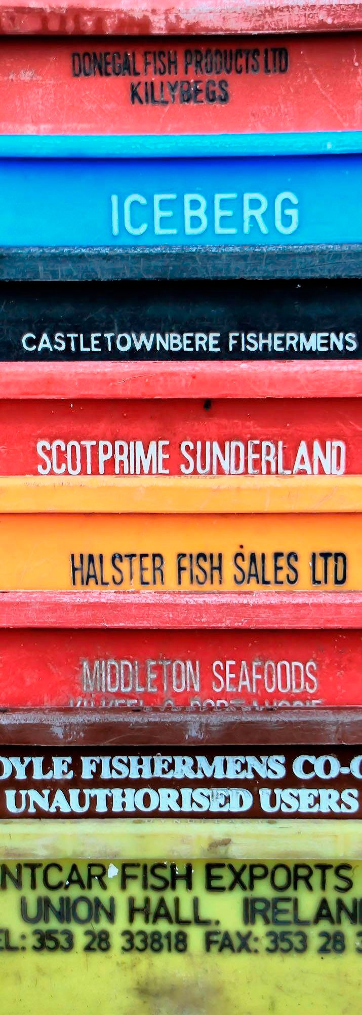 Image of Komar Vliestapete »Cargo"«, Steinoptik bei Ackermann Versand Schweiz