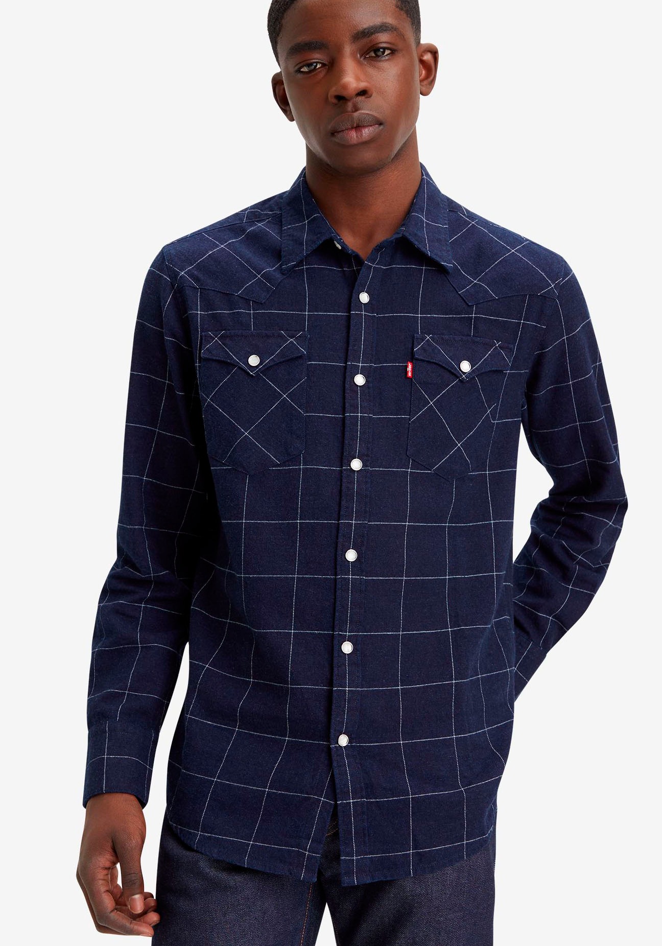 Levi's® Flanellhemd »BARSTOW WESTERN STANDARD«, in verschiedenen Karo-Dessins
