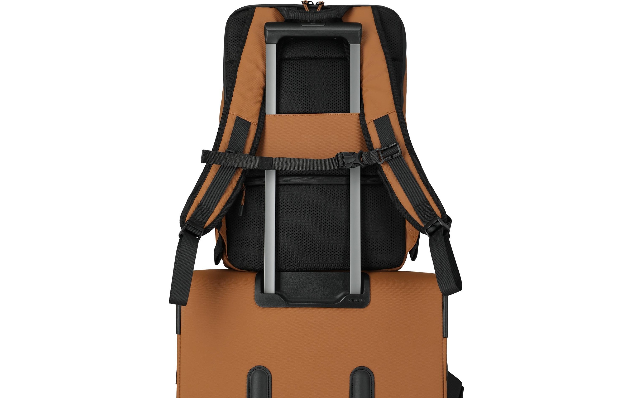 Image of travelite Rucksack "BRIIZE M 23 l"