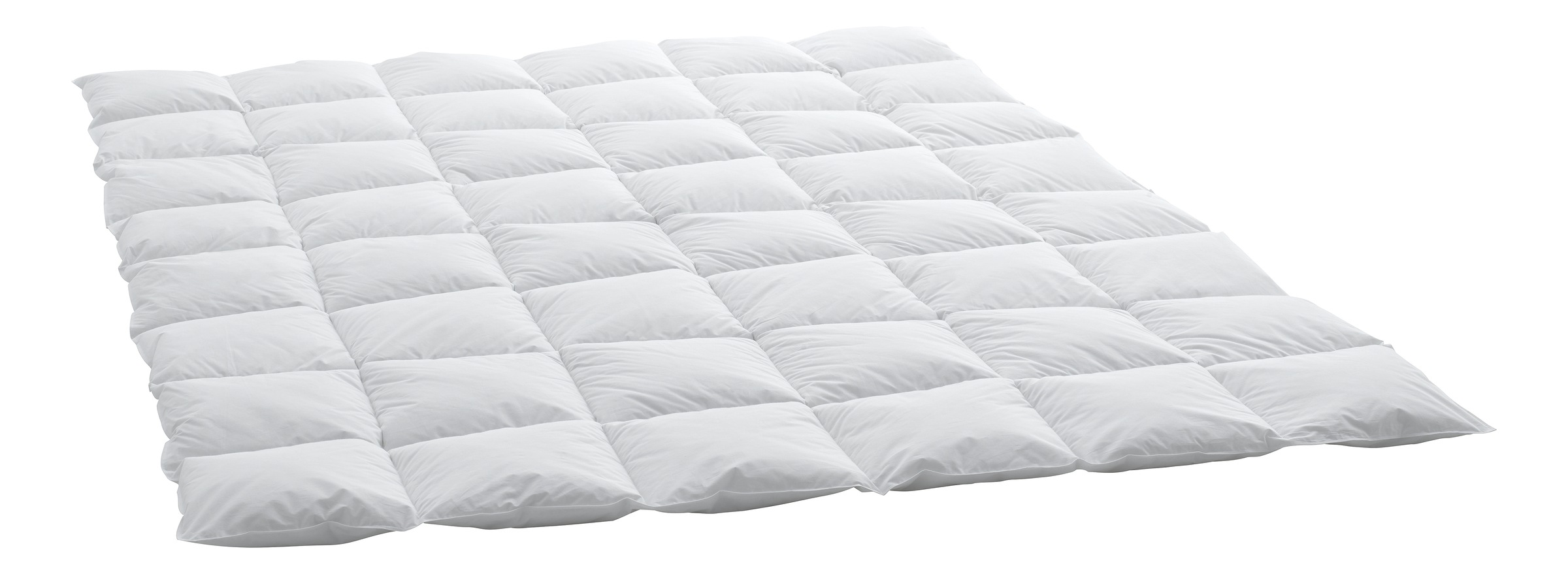 Image of Swiss Dream by billerbeck Daunenbettdecke »Basic 80«, warm, Füllung 80% neue europäische Entendaunen, weiss, 20% Federchen Klasse I (Euro-Norm), Kein Lebendrupf!, Bezug 100% Baumwolle, soft-touch-finish™. hydrophil und atmungsaktiv, (1 St.) bei Ackermann 