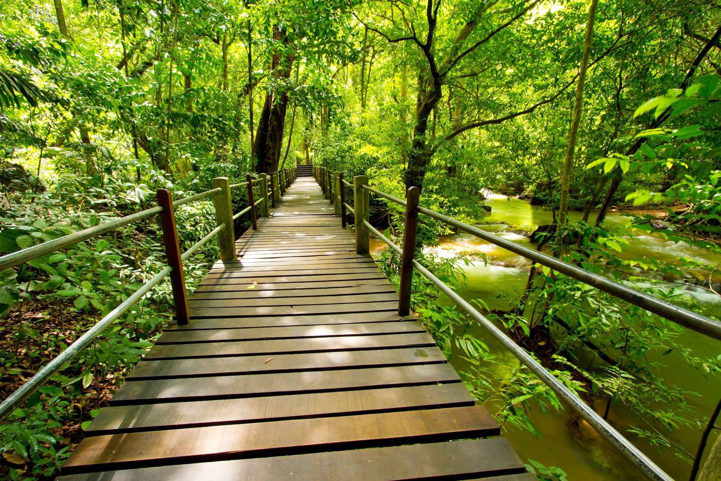 Image of Papermoon Fototapete »Bridge Walk«, matt, BlueBack, 7 Bahnen, 350 x 260 cm bei Ackermann Versand Schweiz