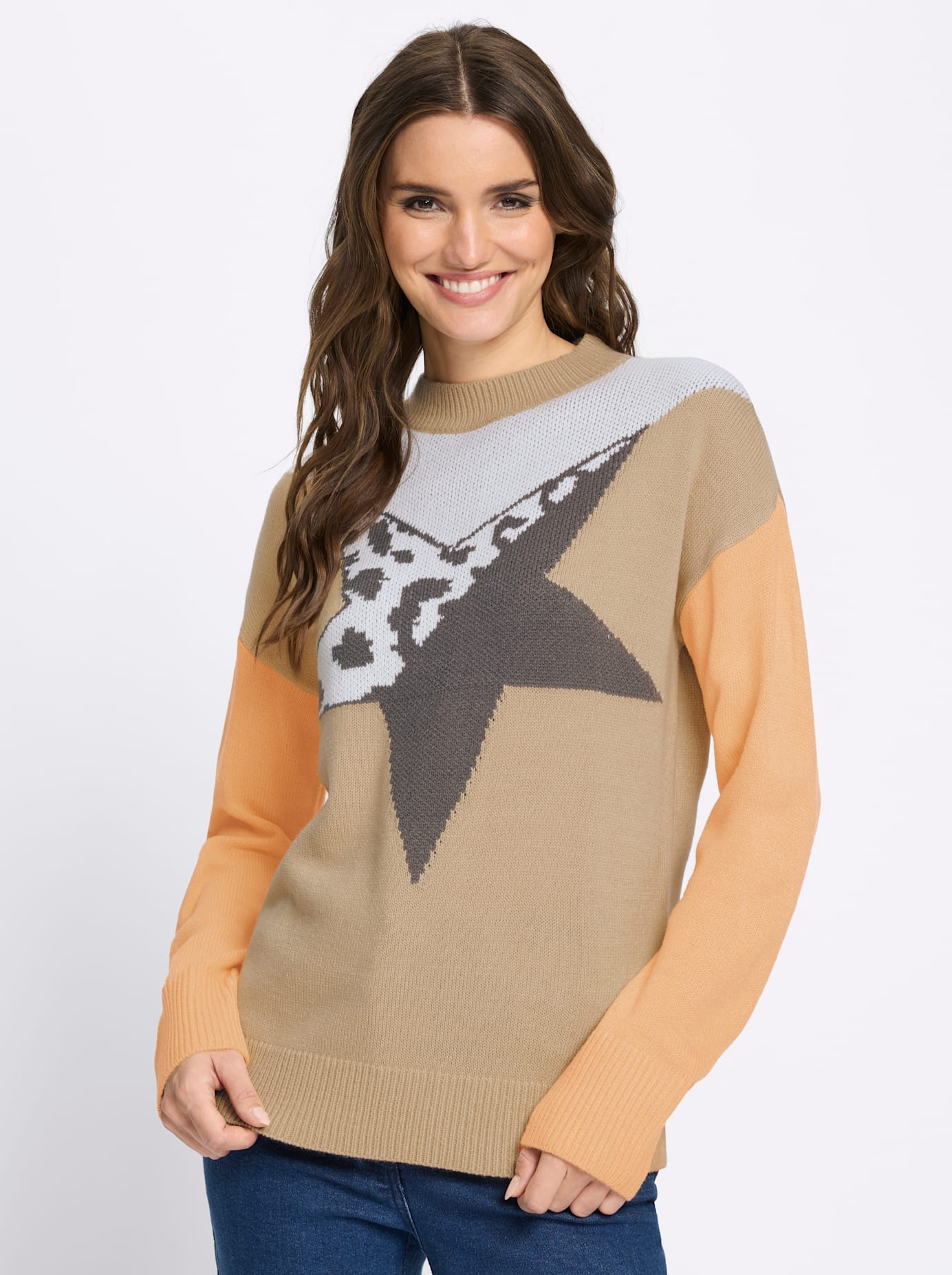 Classic Basics Stehkragenpullover »Langarm-Pullover«